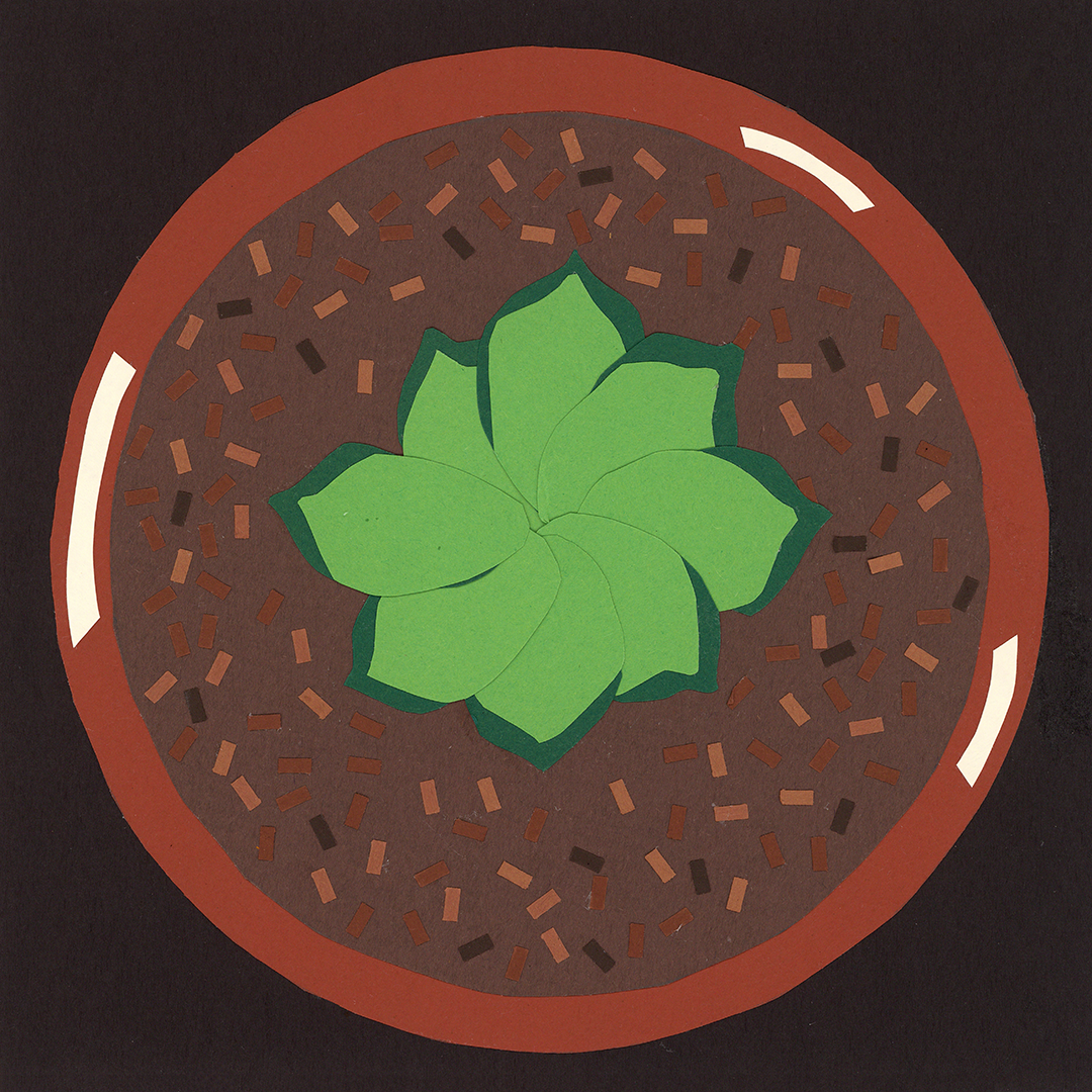2023_'Potted_Life'.png
