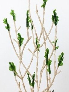 Toothpick Tree