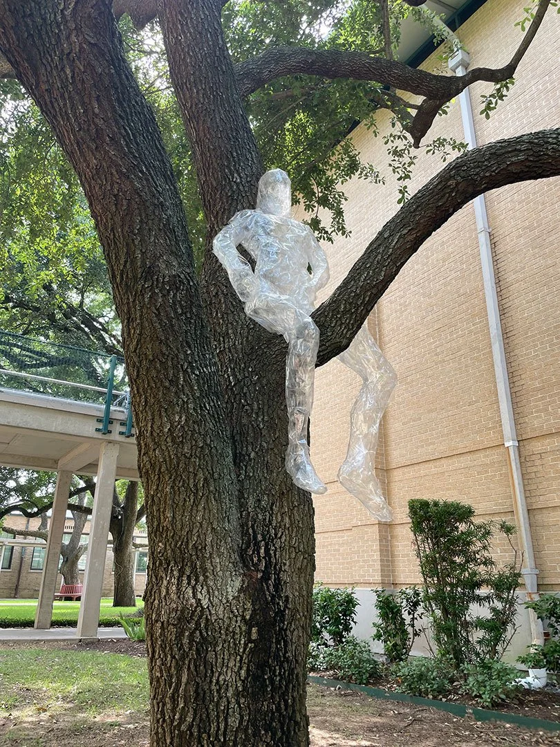 2024_student_in_tree.jpg