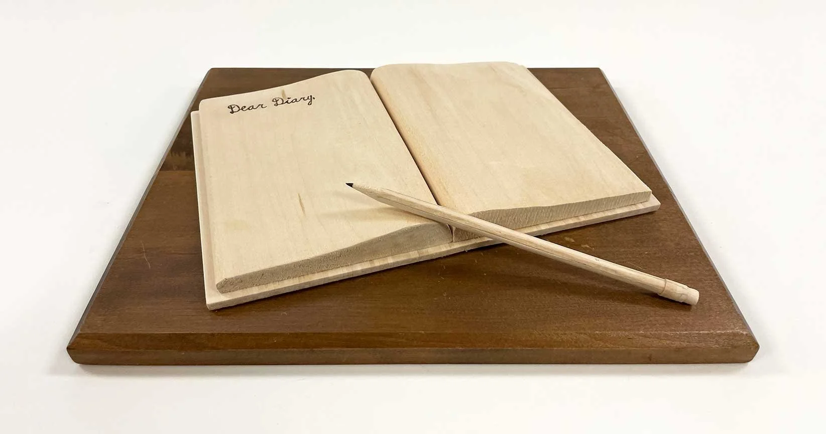 2024_'Dear_Diary'.jpg