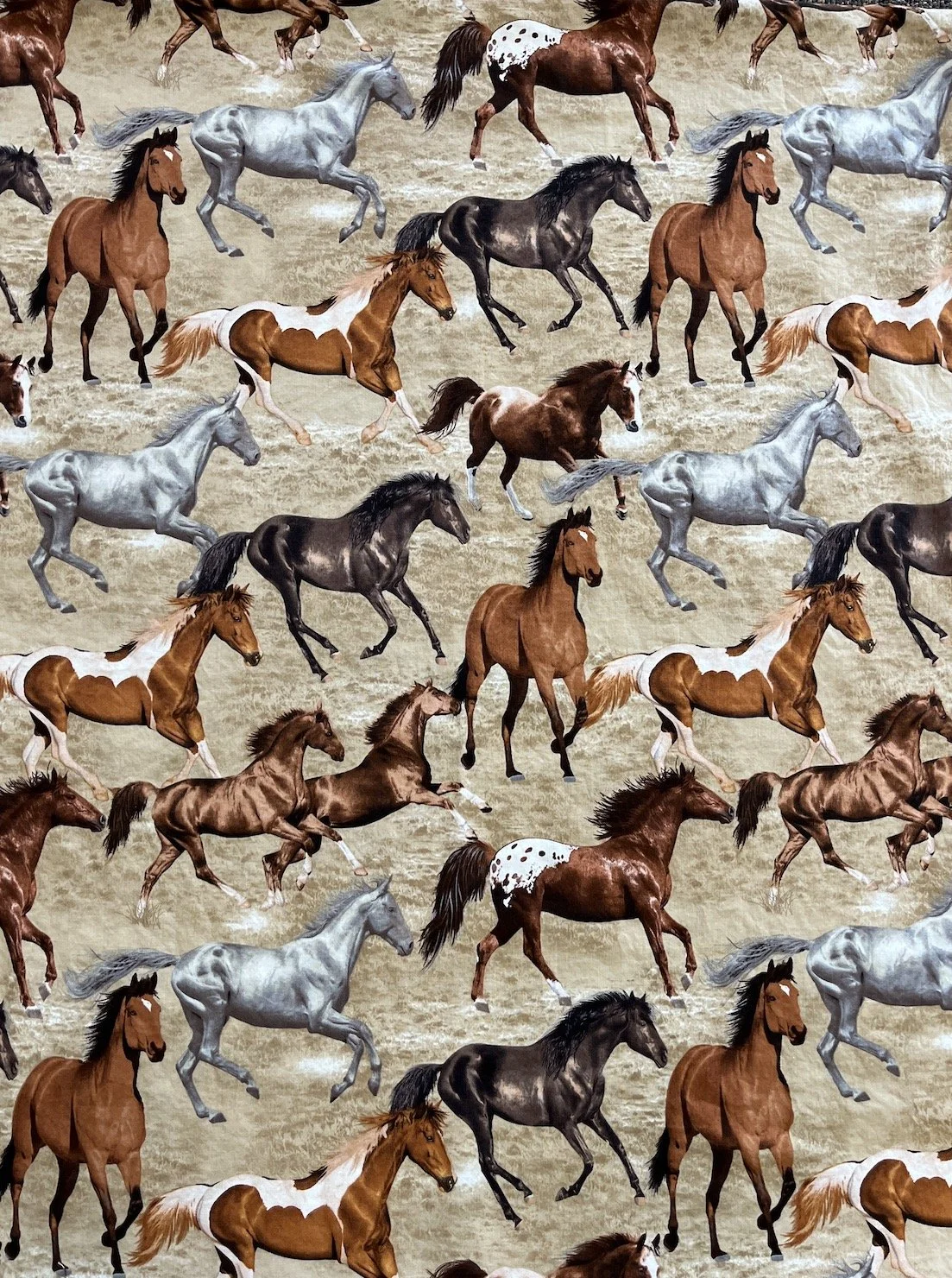 Horses