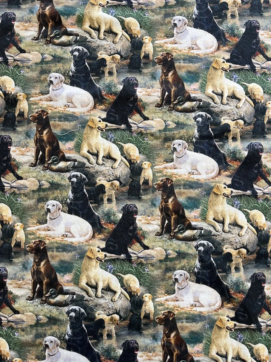 Dogs