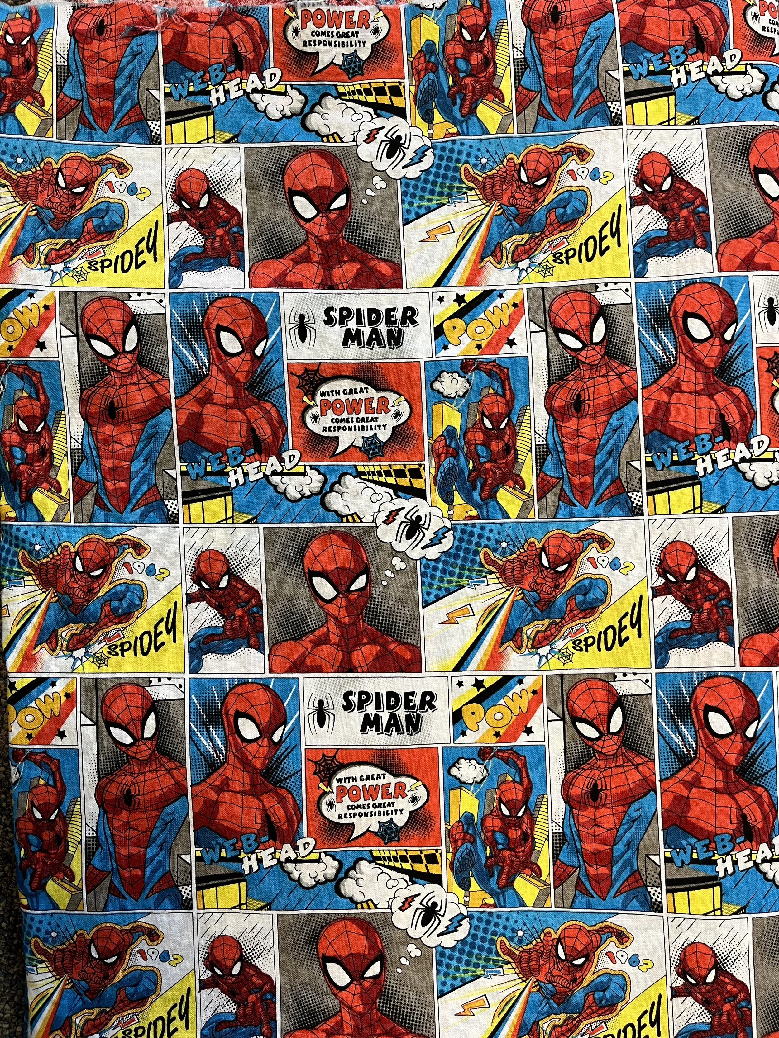 Spiderman Comic Book