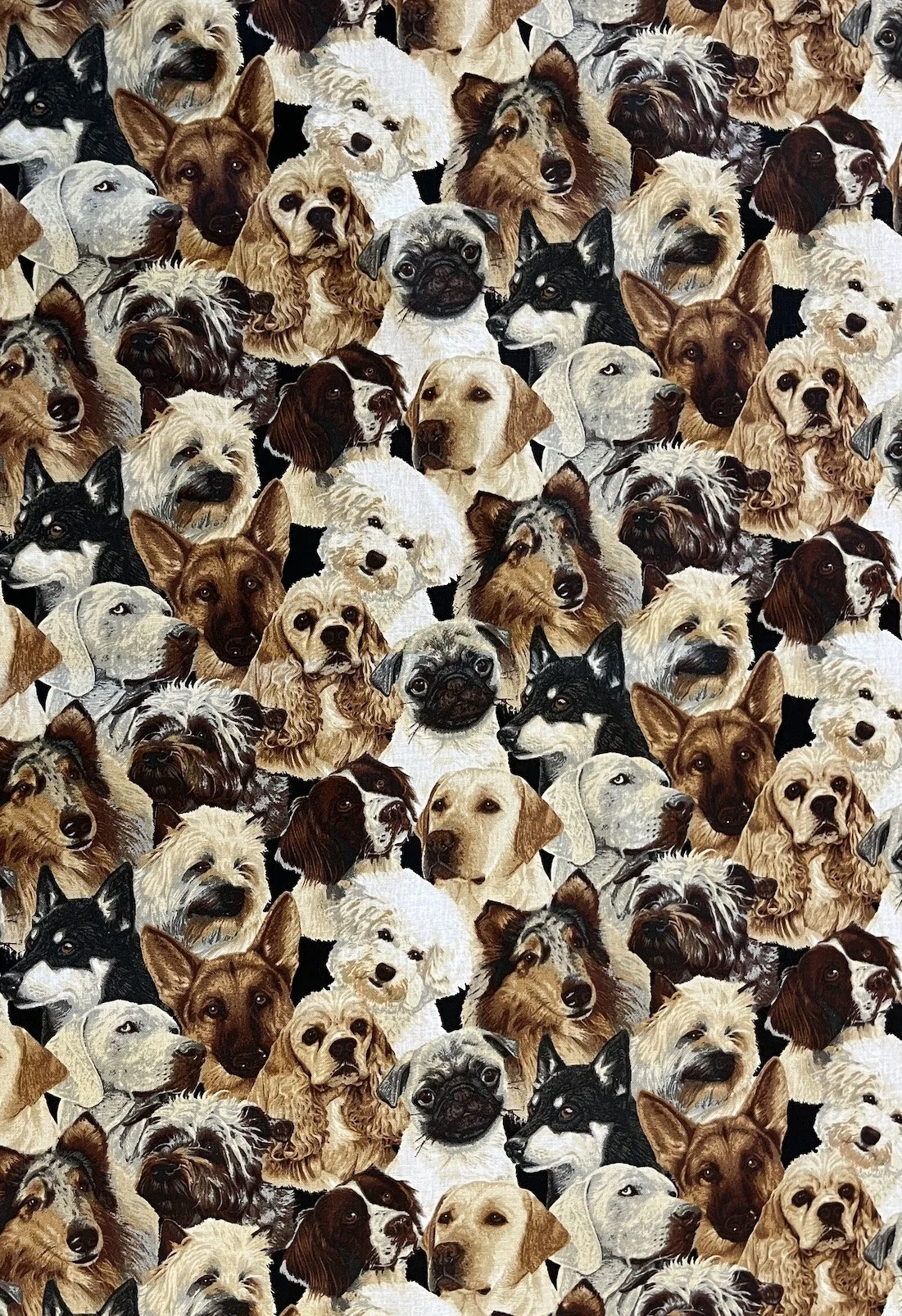 Dogs