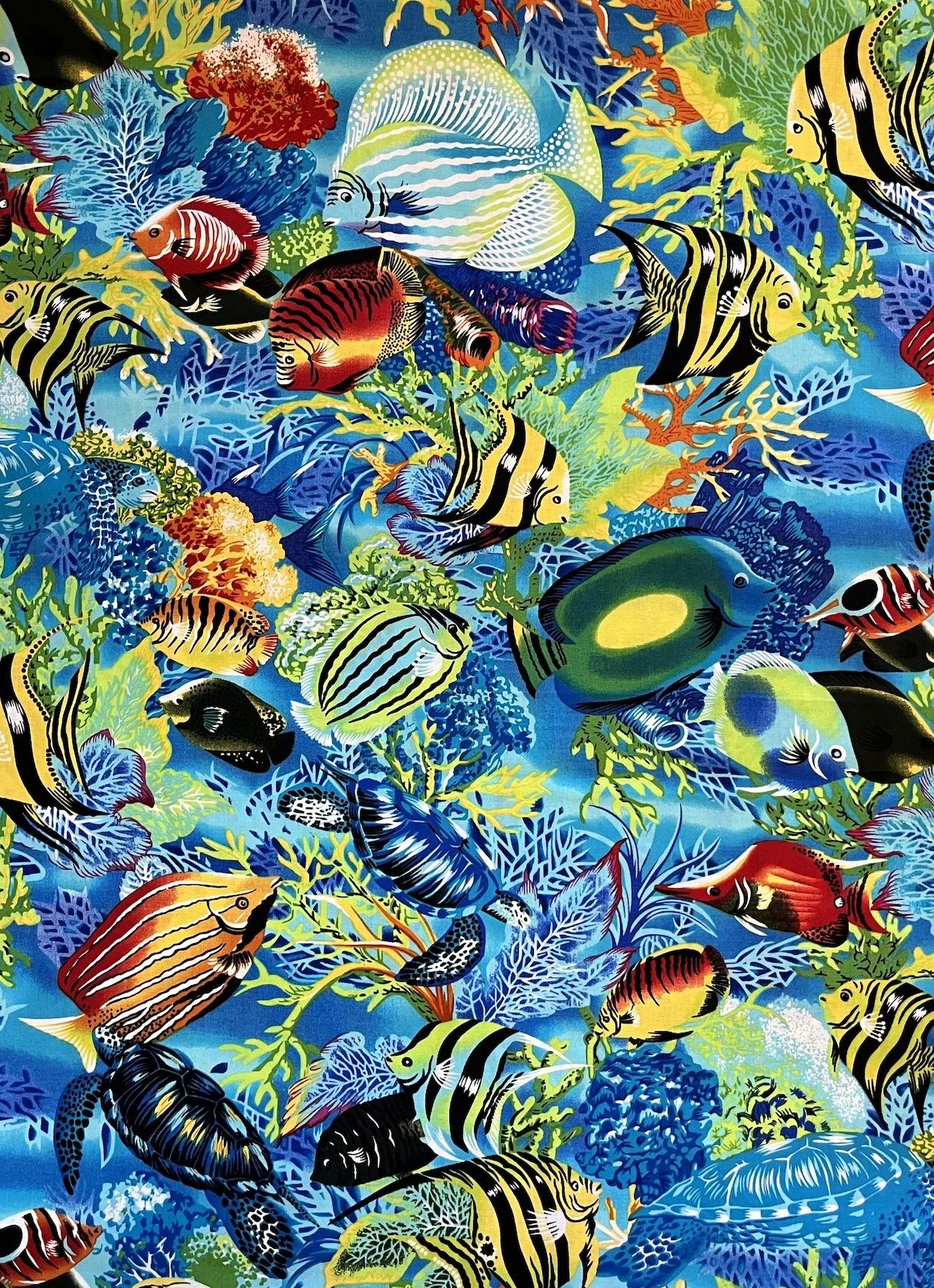 Under the Sea