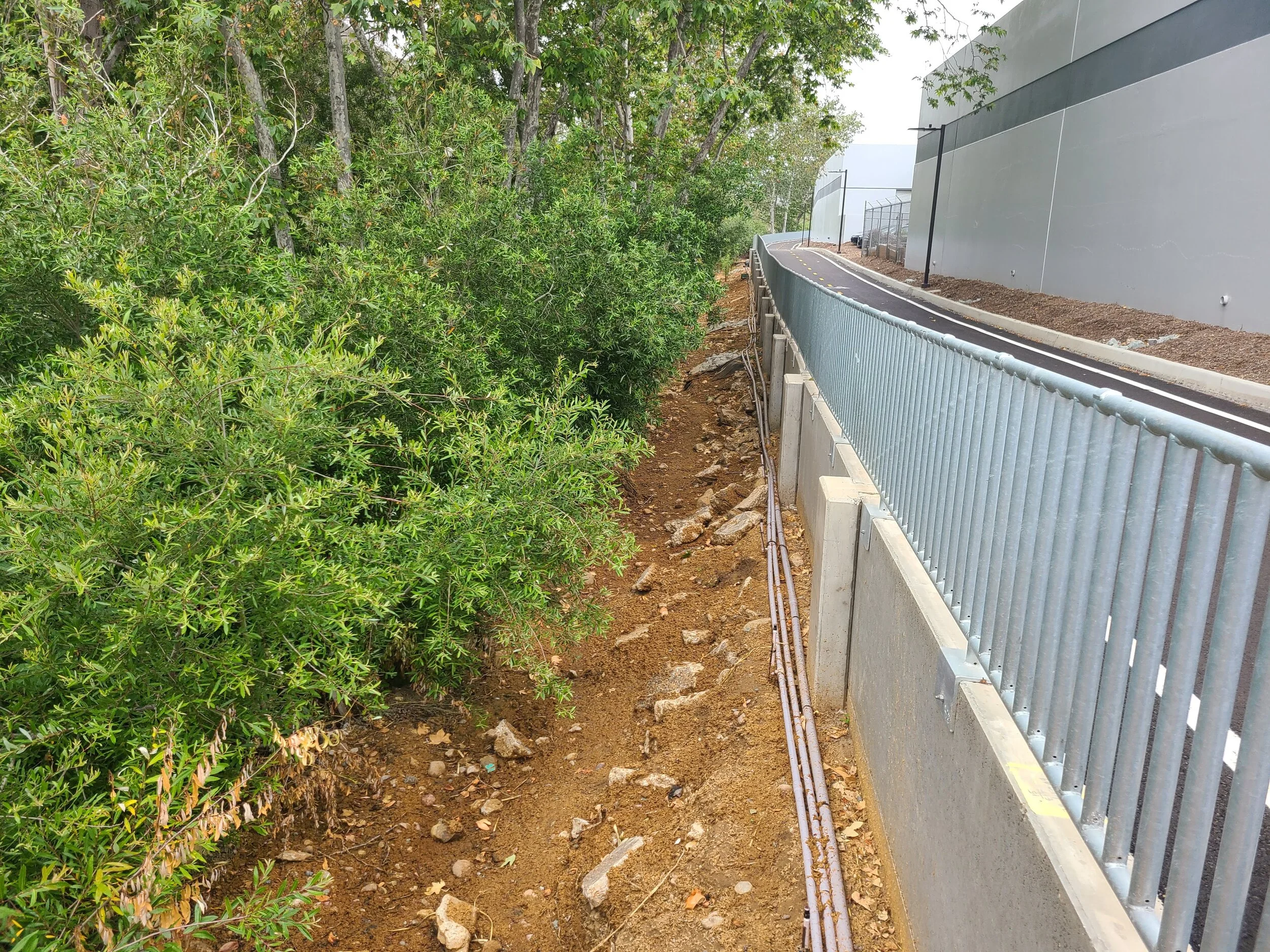 Rose Creek Bike Path - dry