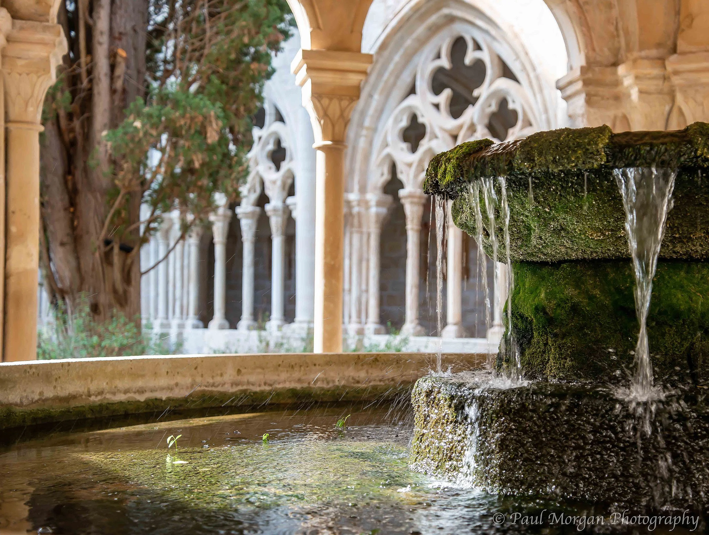 16th Century Spanish Monastery 12