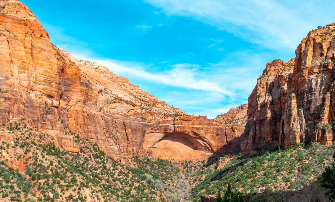 Zion 15