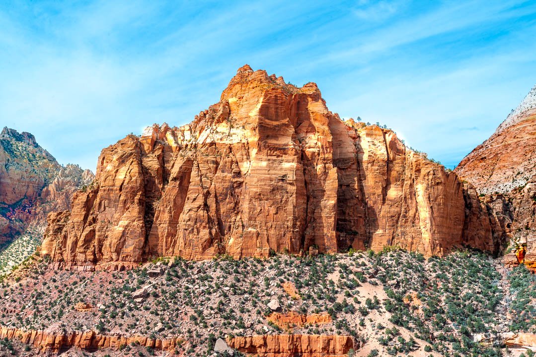 Zion 20