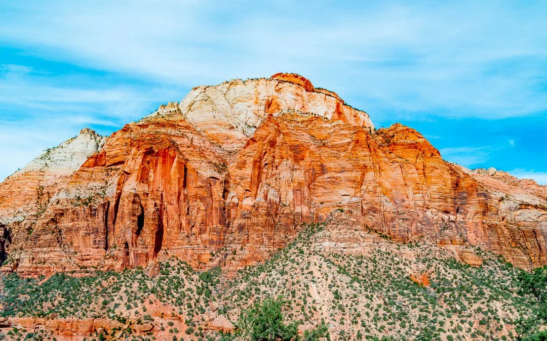 Zion 21