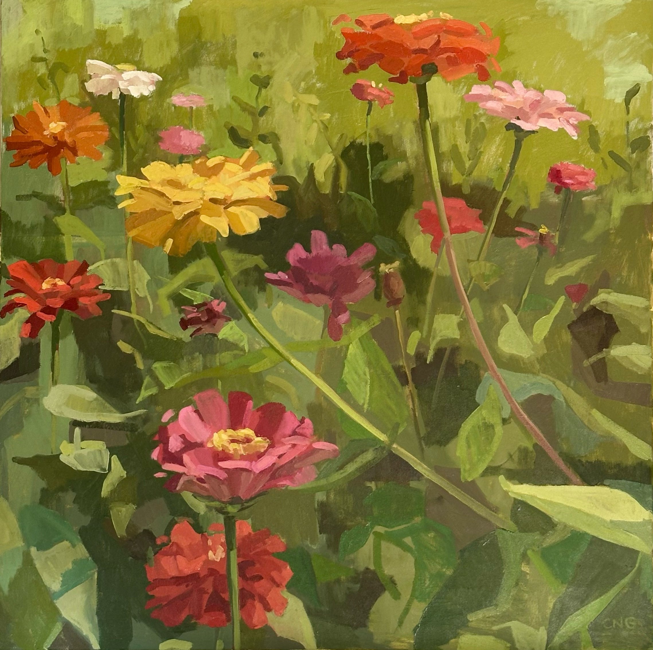 Zinnias Garden