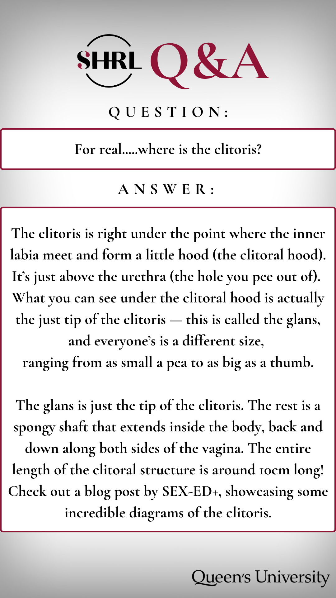48_Nov QnA2 Clitoris Location.png