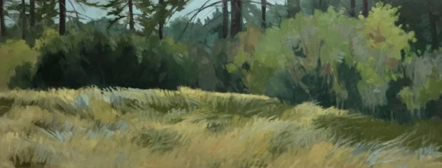 Spring Meadow
