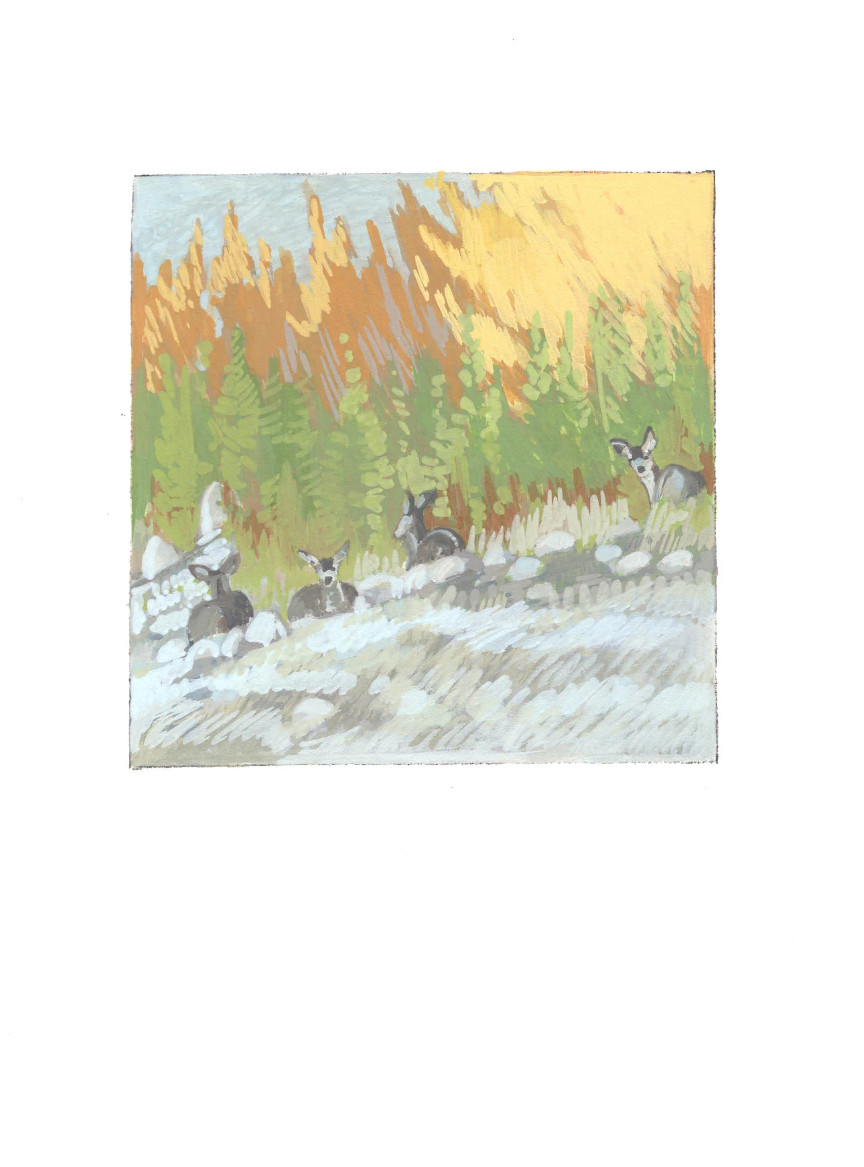Fall Reeds & Mule Deer