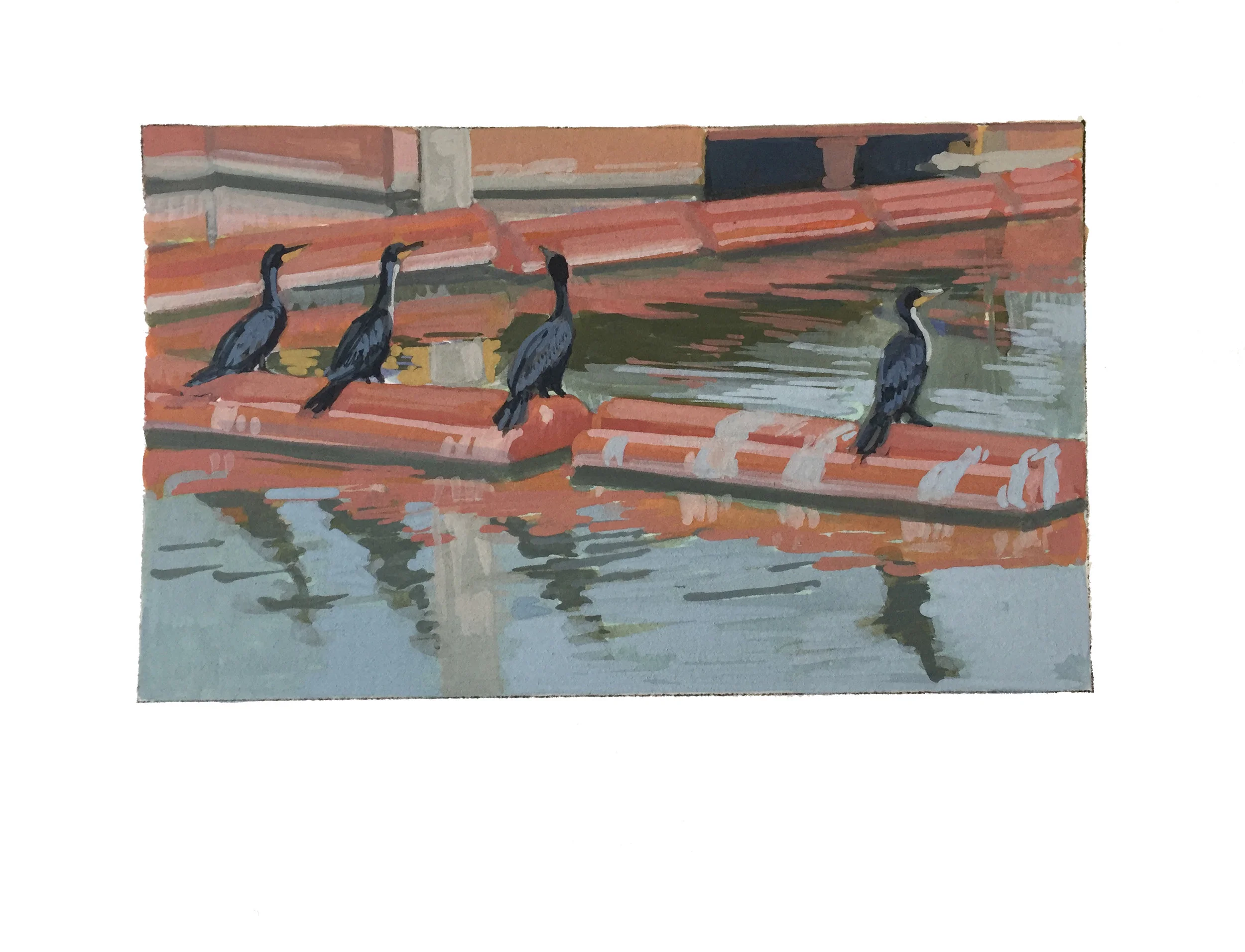 Meeting at the Pumping Station (Cachuma Cormorants)