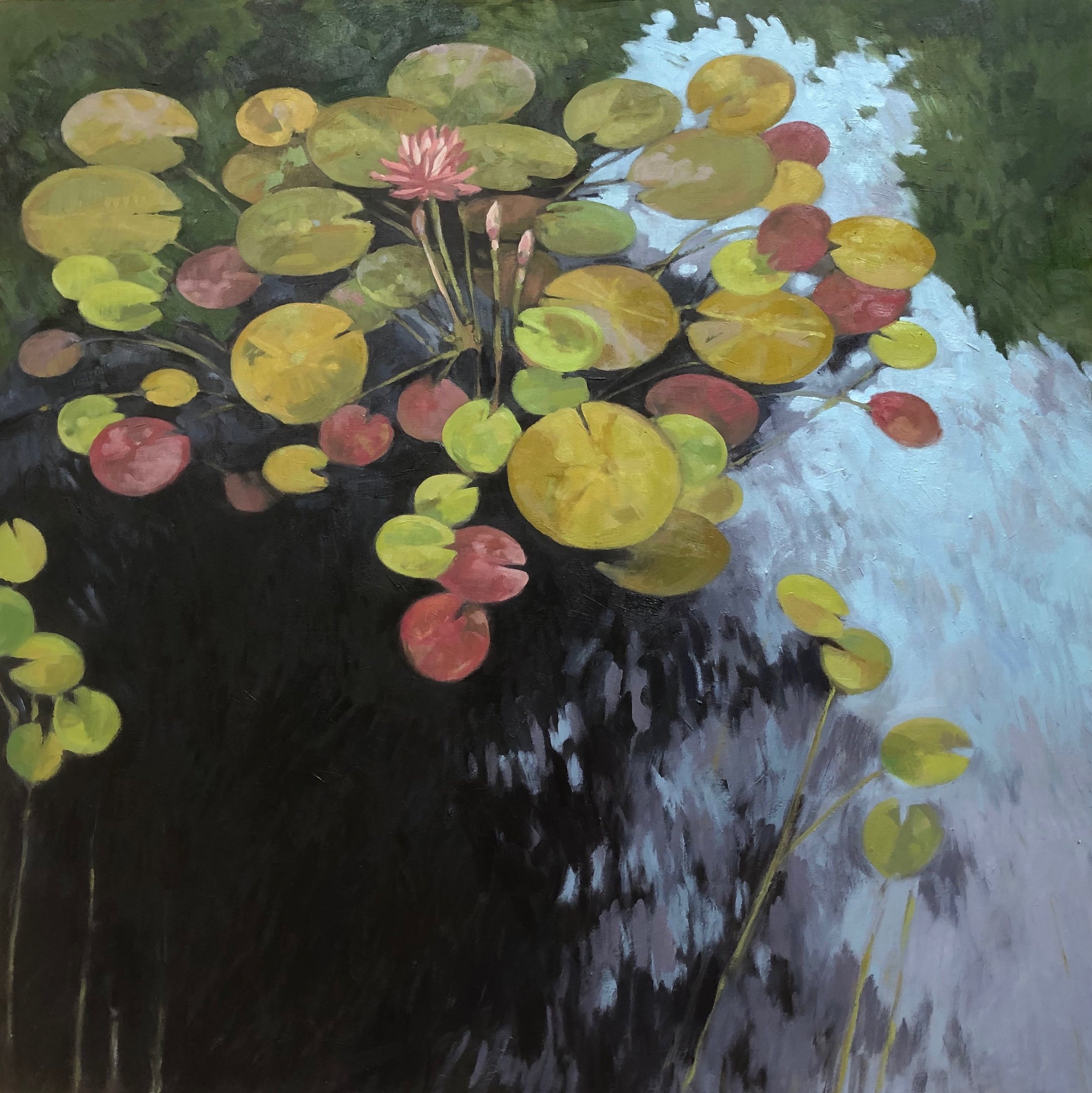  Lotus  30x30” oil on birch panel ©N Strasburg 