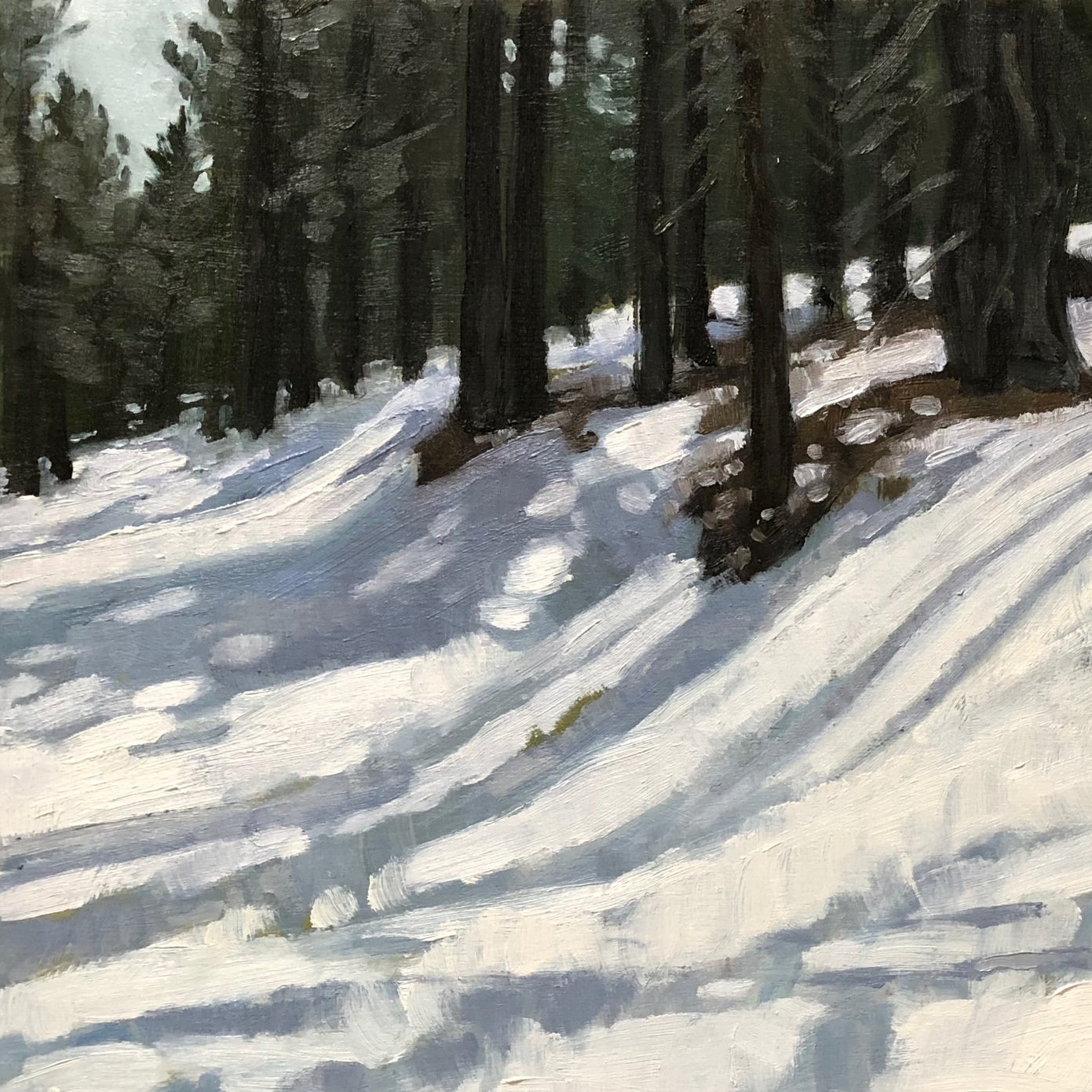  Snow Trails  9x16” oil on birch panel 