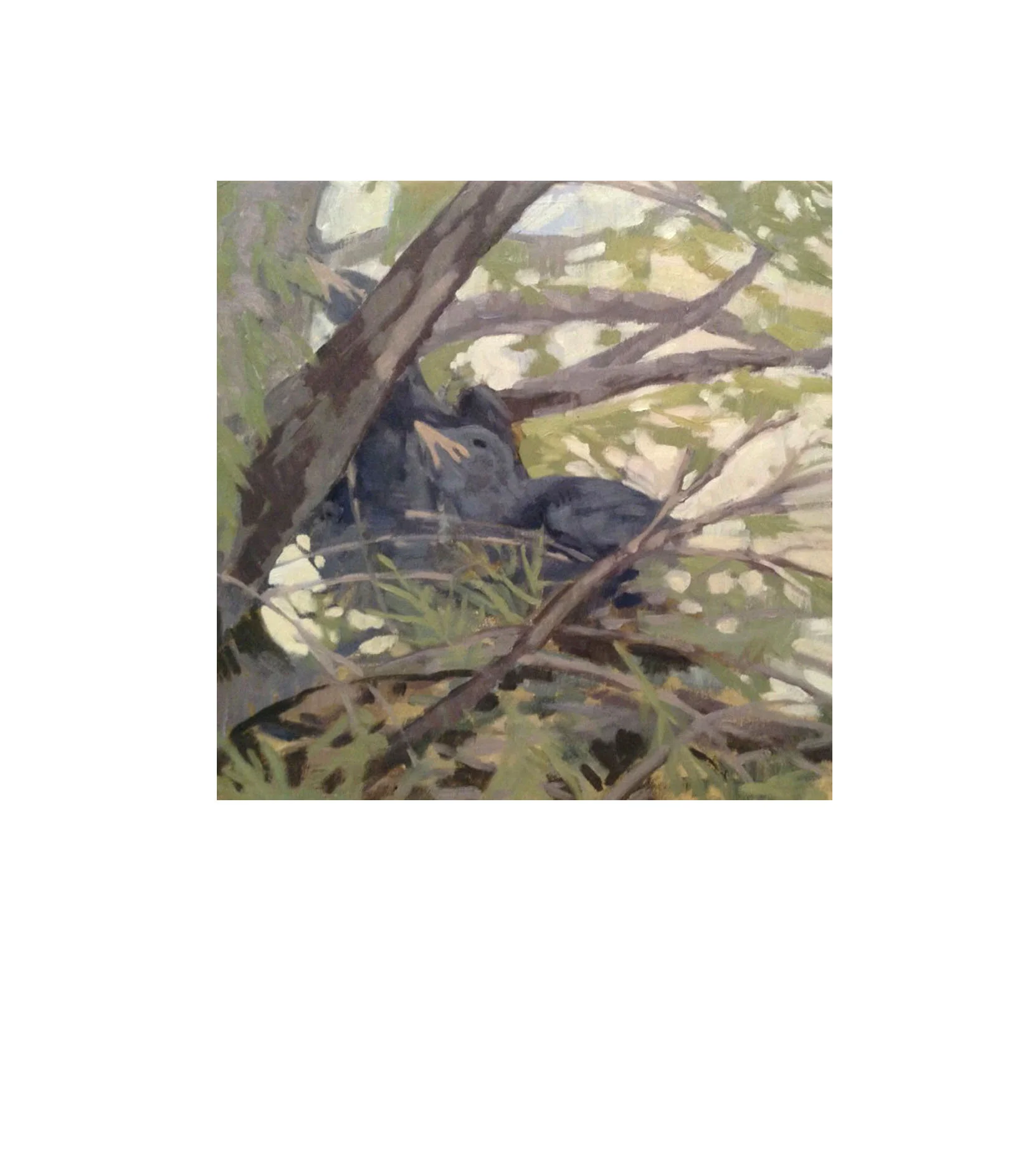 Nestmates