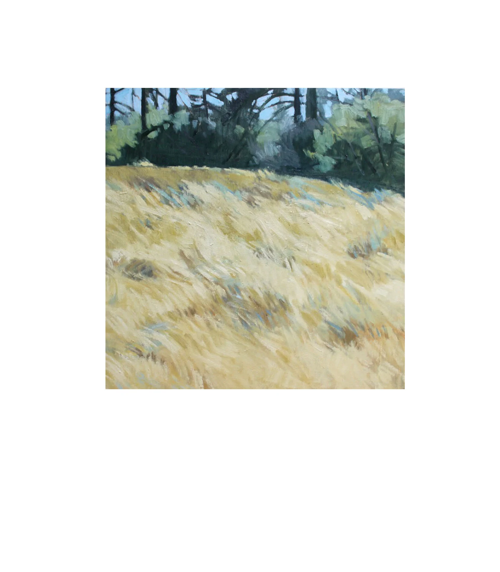 Spring Meadow
