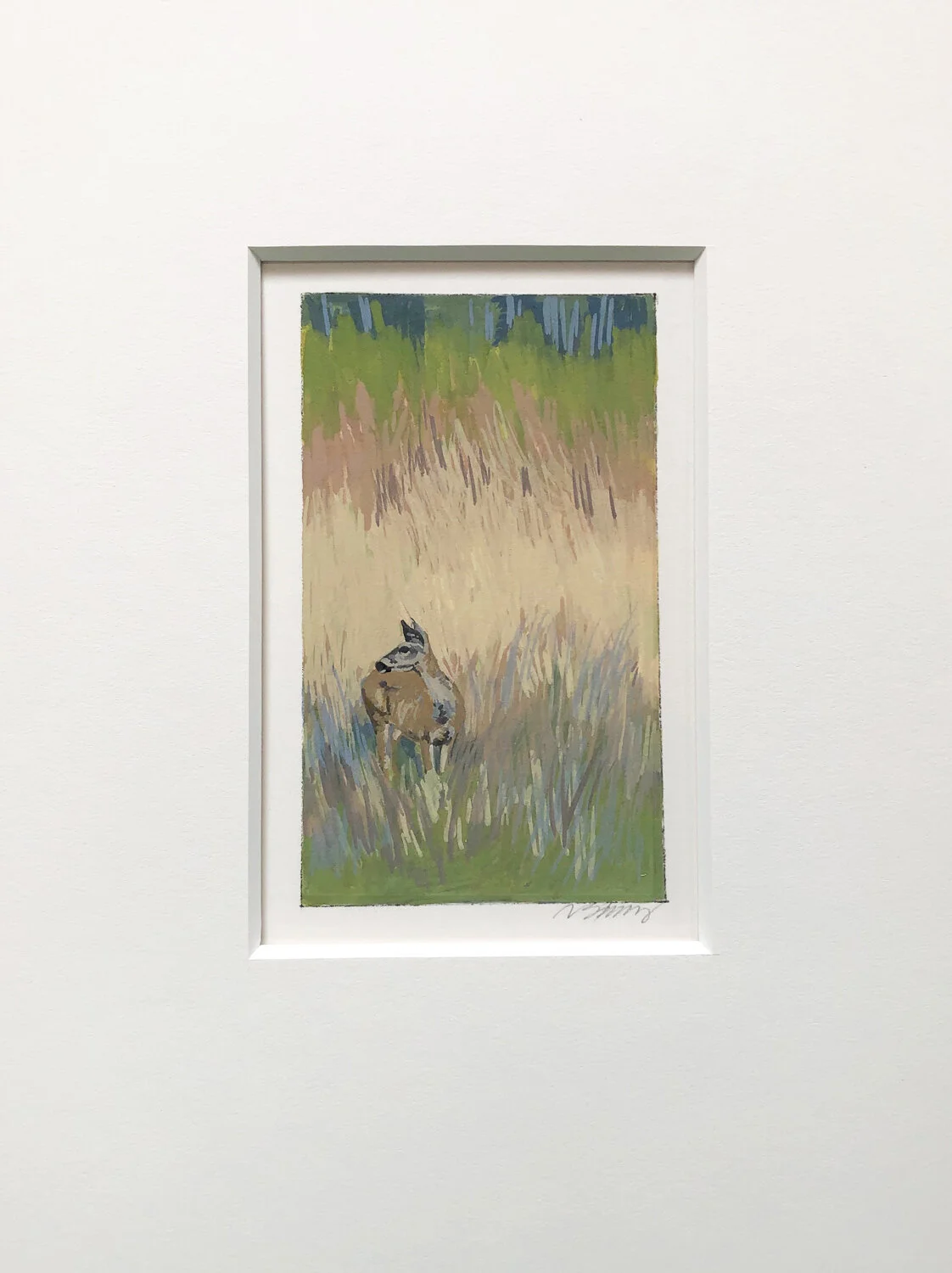 matted.mule.deer.jpg