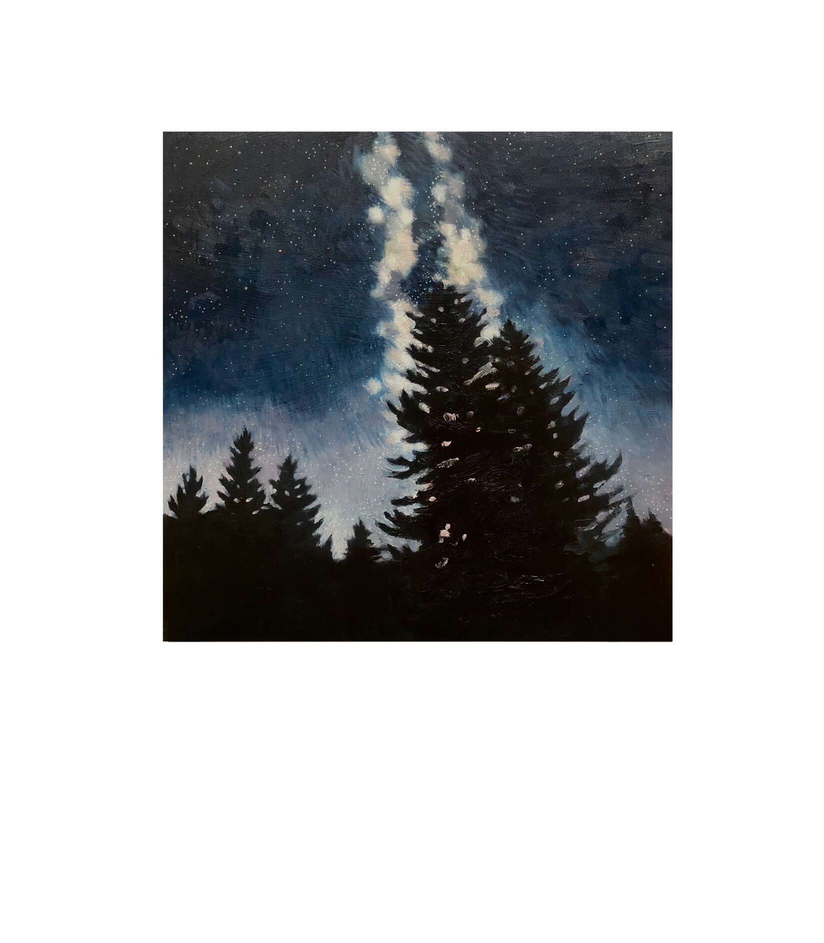 Milky Way & Pines