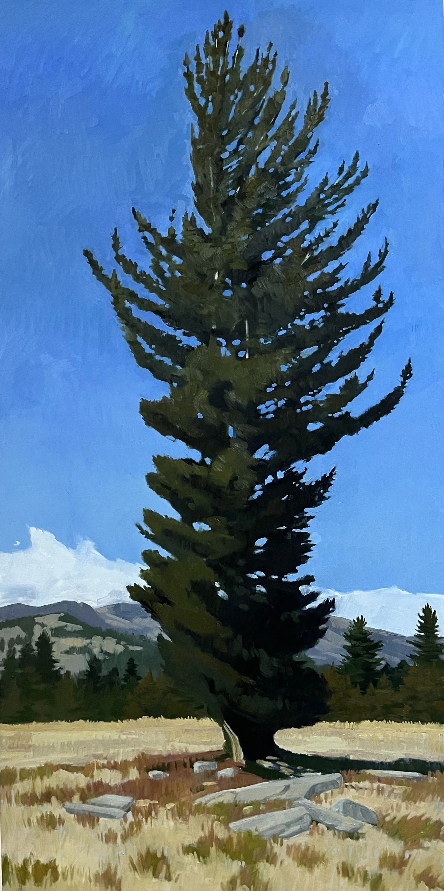 Sierra Sentinel