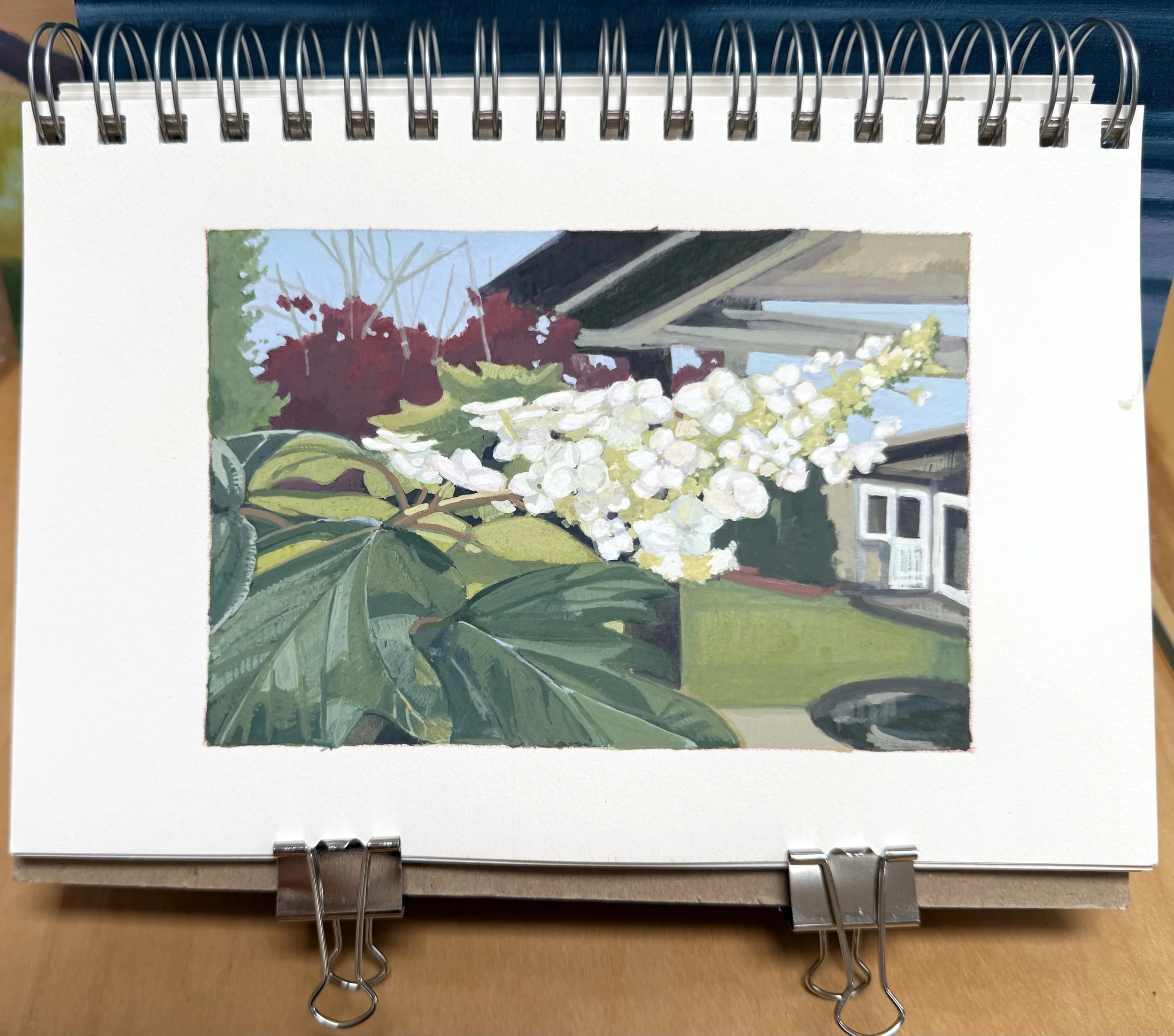 Oak Leaf Hydrangea