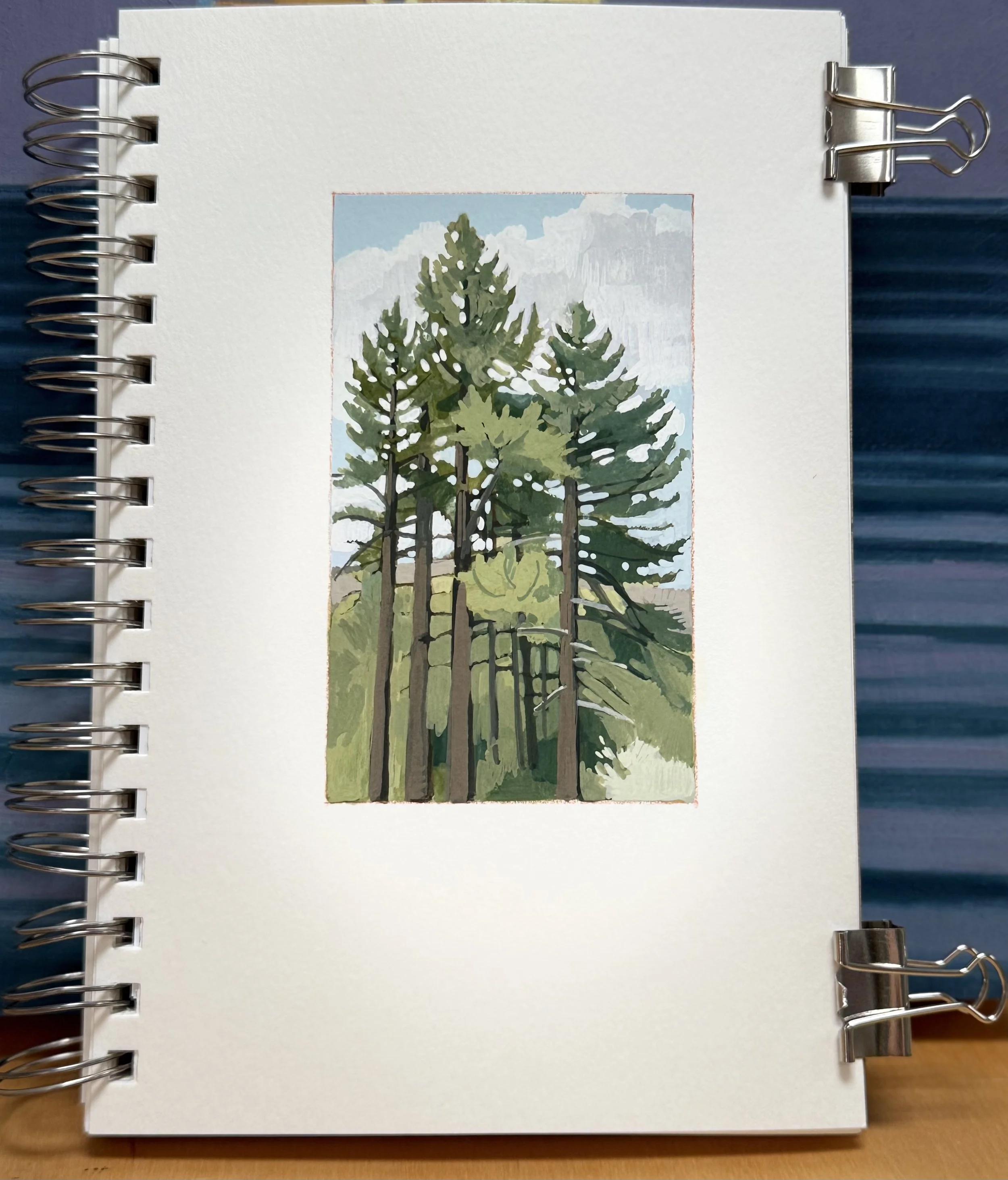Treetops