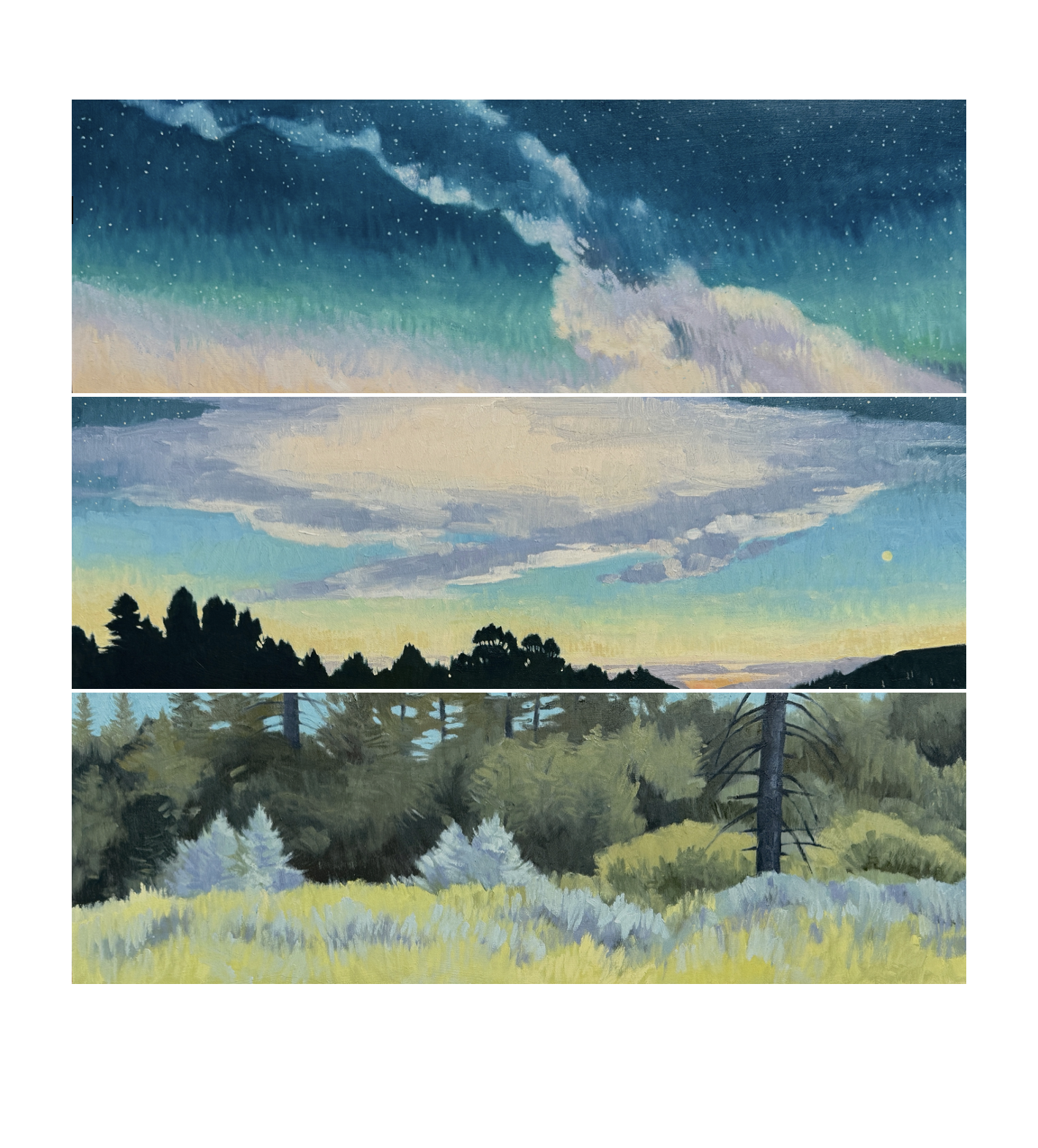dayligh/twilight/starlight (triptych)