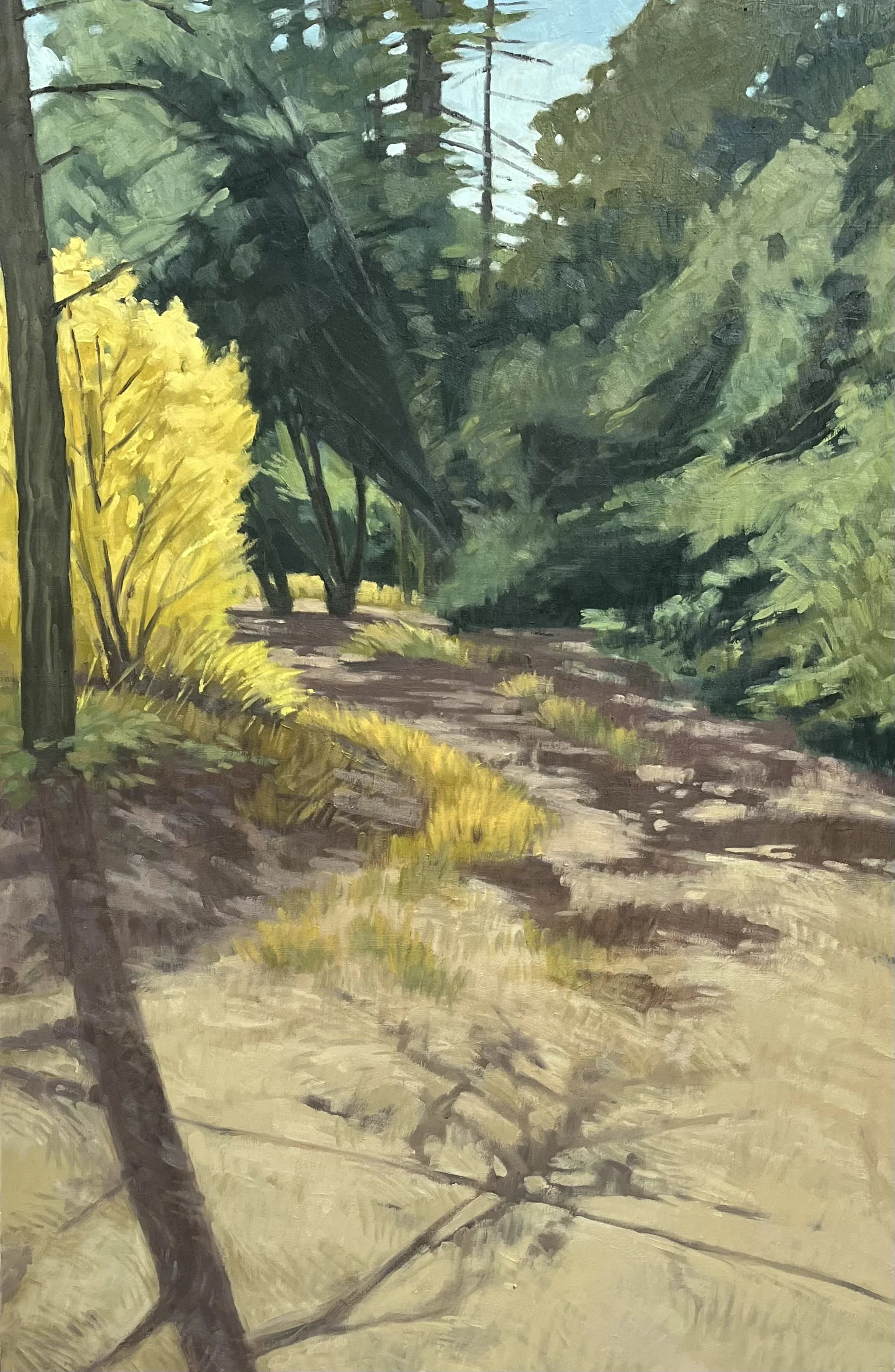 Fall Walk