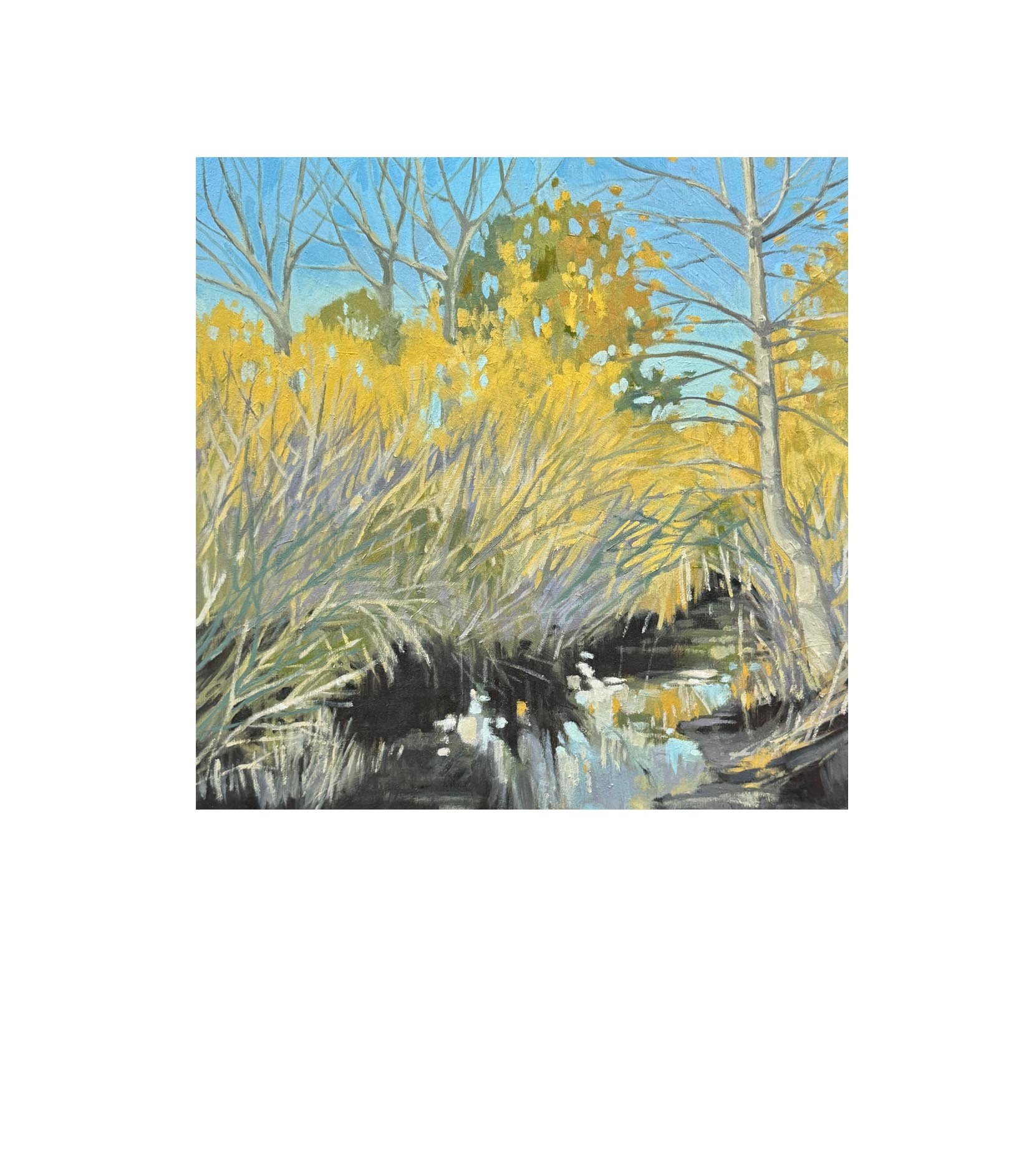 Creek Reflection
