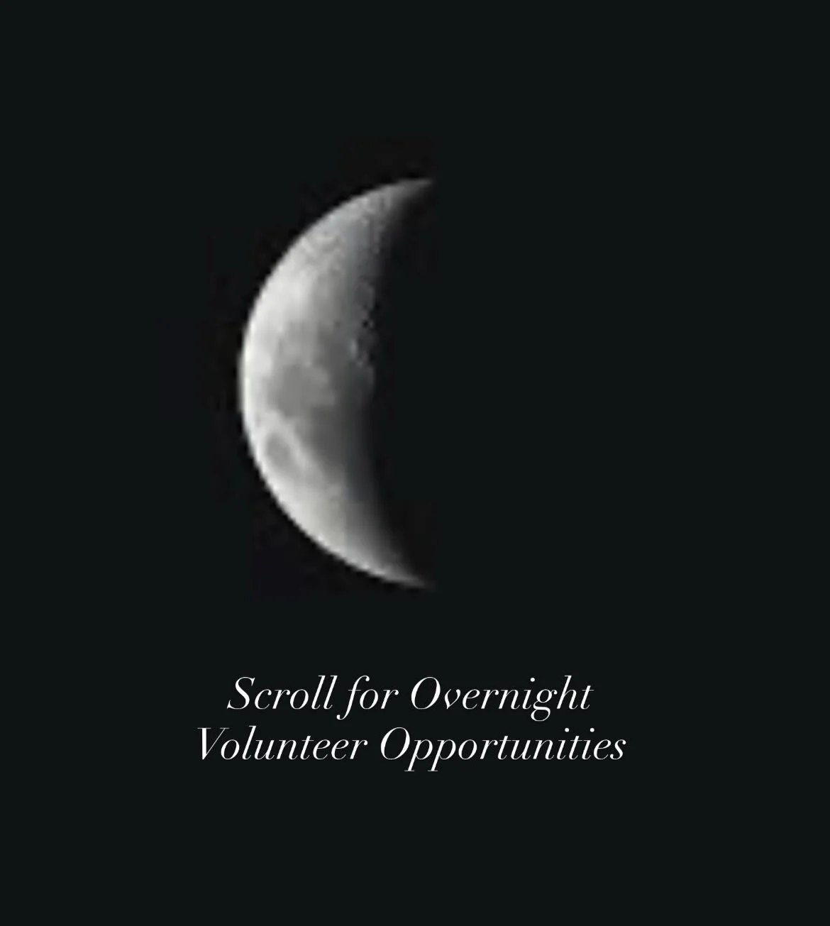 "Life's most persistent and urgent question is, 'What are you doing for others?'" Martin Luther King Jr.