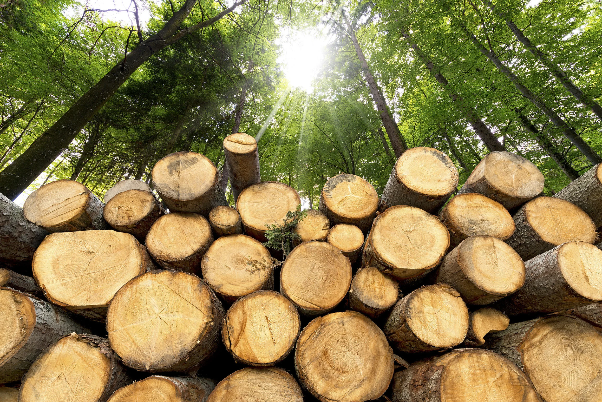 am_logging_background_update.jpg