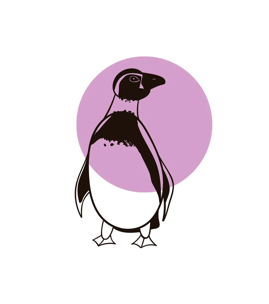Pinguino.jpg