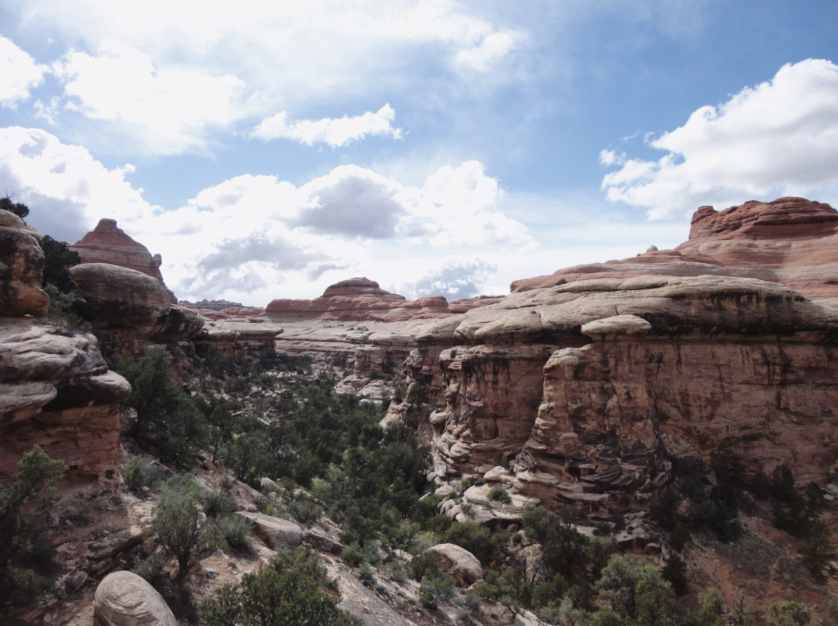 Screen Shot 2018-06-07 at 8.13.35 PM.png