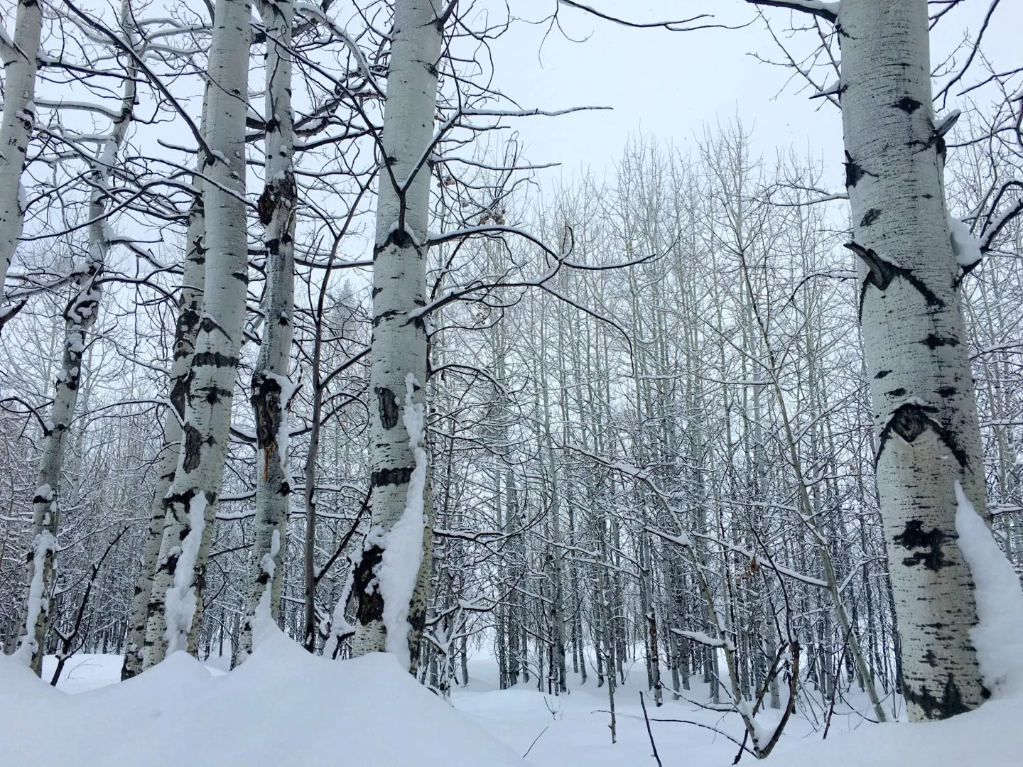 5 Things To Do On Your Winter Vacation 