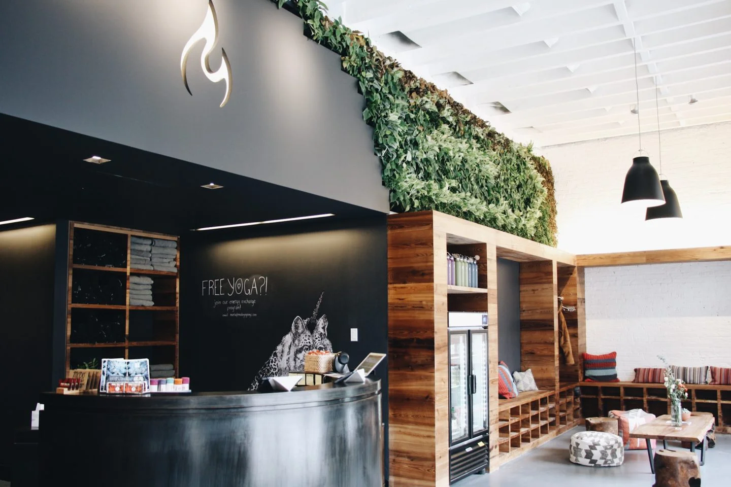 A Month At Modo | My Experience 