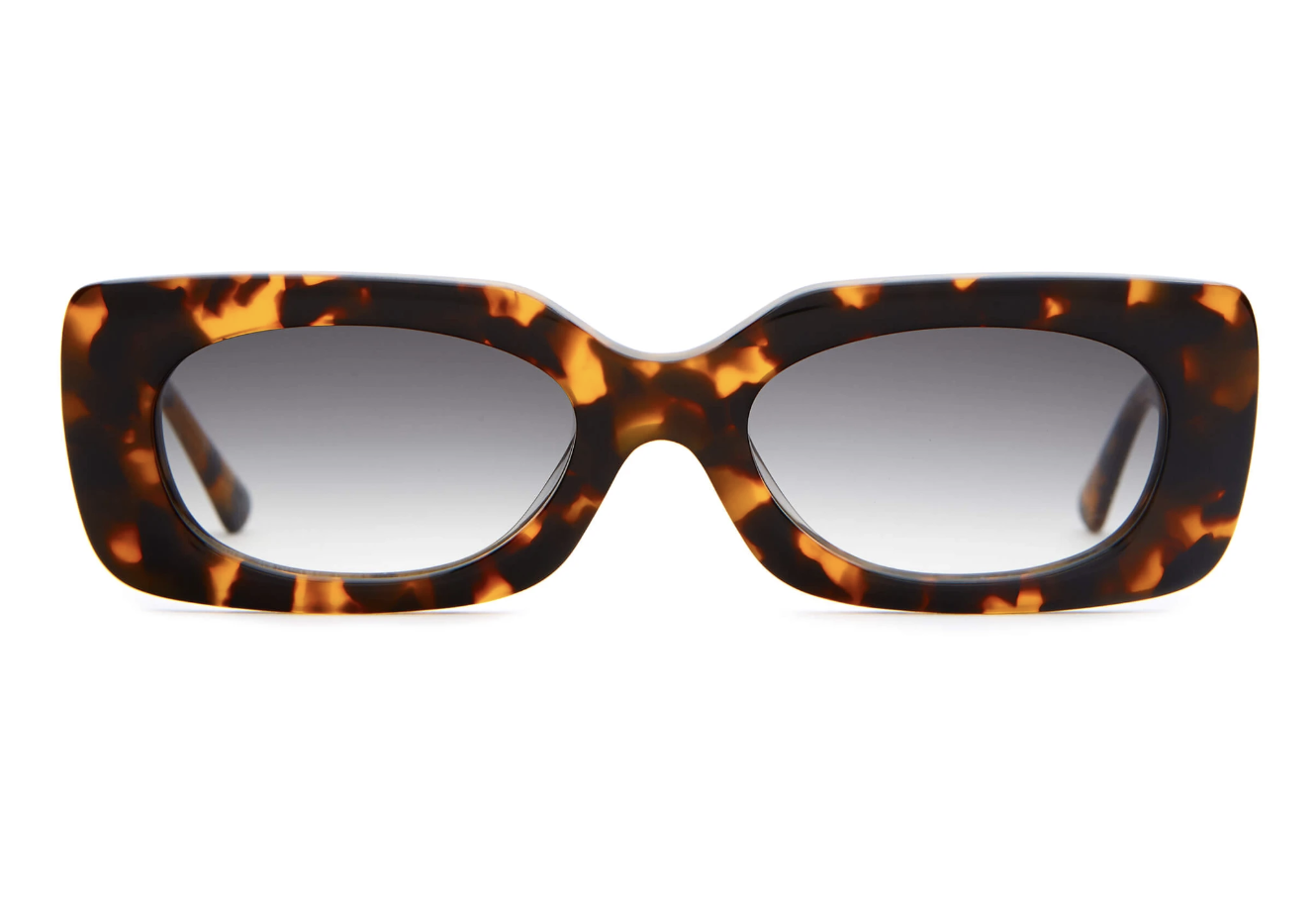 Screen Shot 2020-01-11 at 5.29.54 PM.png