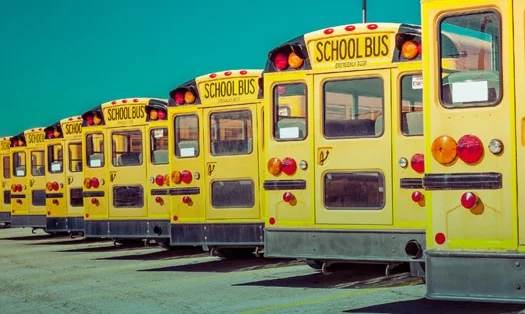 bus 2.jpg