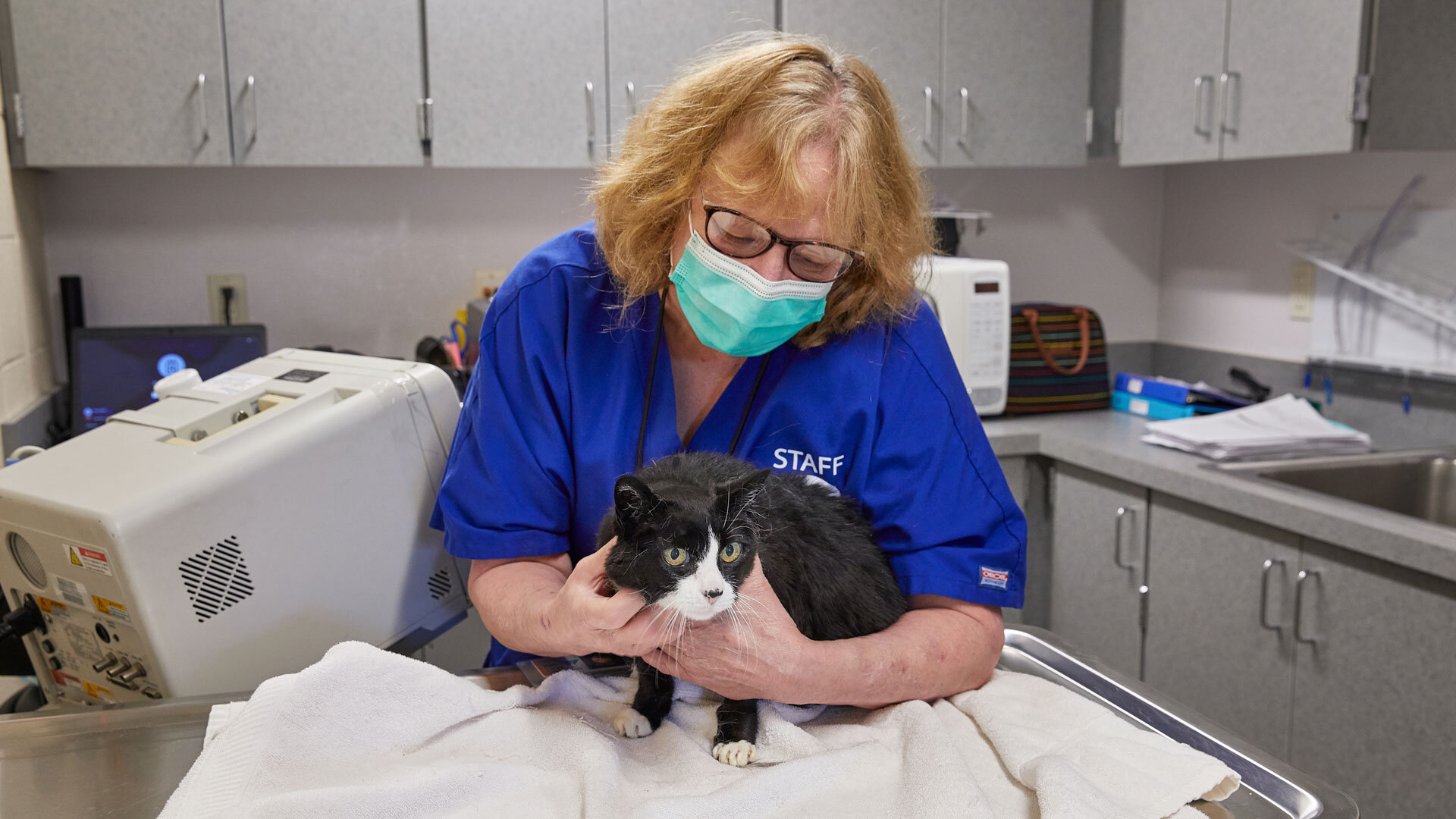 MultCoAnimalShelter_SallyPainter_0030_SLIDE.jpg