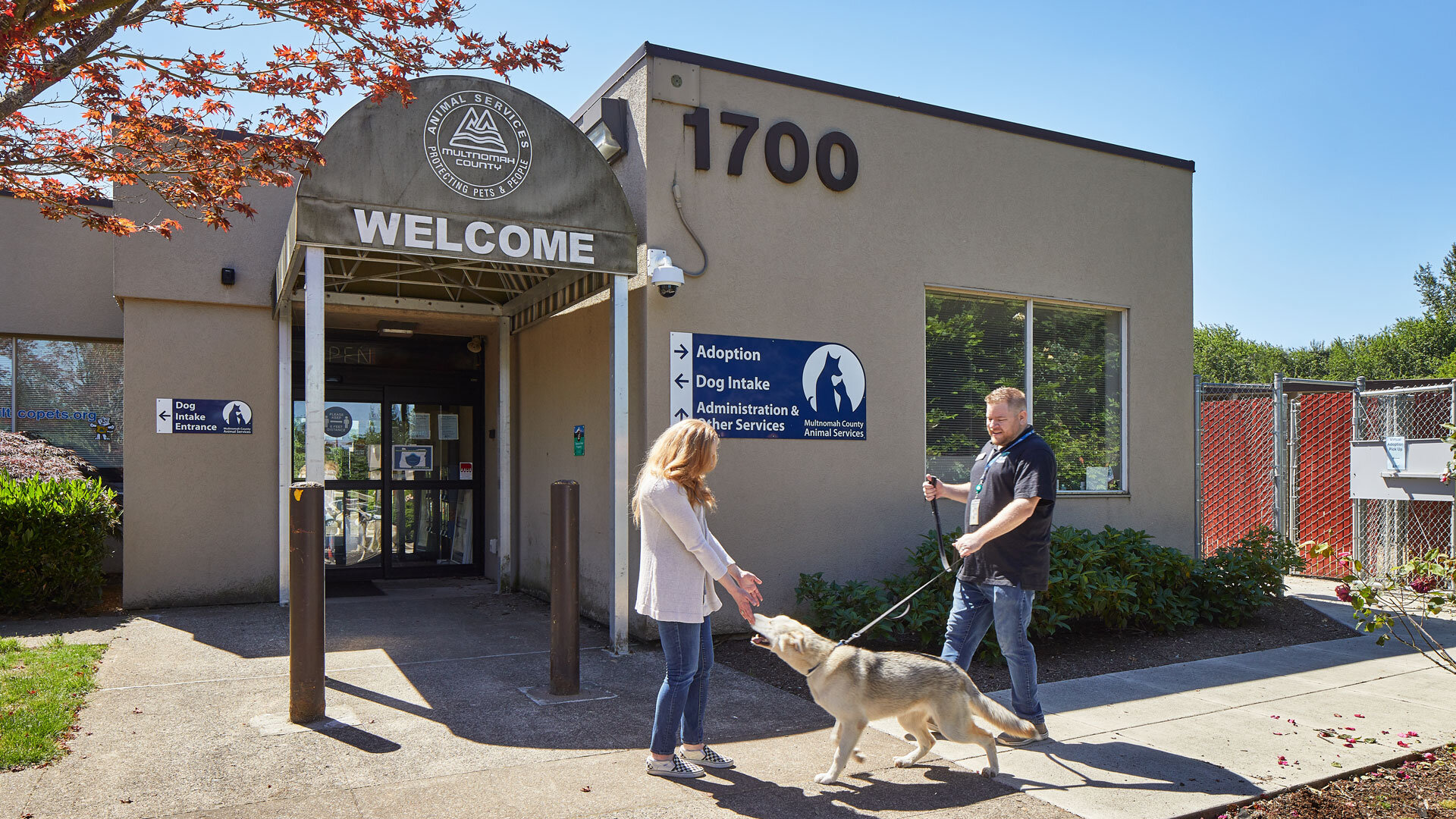 MultCoAnimalShelter_SallyPainter_0036_SLIDE.jpg