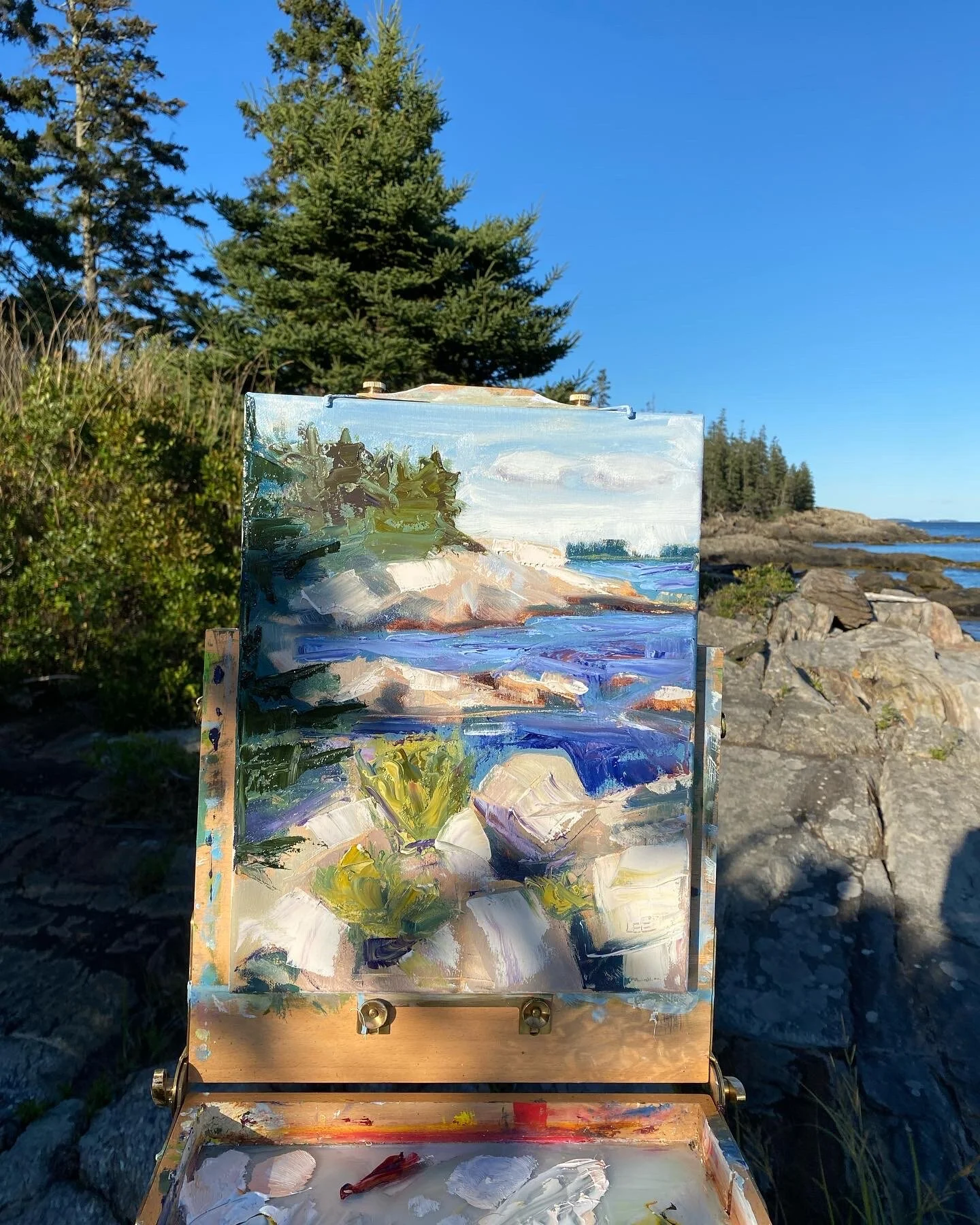 8A06906B-AFD4-4026-8B54-39FD2CE12DC7