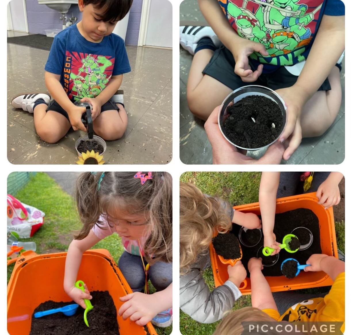 Giraffes enjoy hands-on learning as they plant mammoth sunflower seeds, use blocks to make bird houses and arrange flowers at the sand table.&nbsp;&nbsp;#foundationsprepschool #foundations #fps #funandlearning #giraffeclass #tinyhumans #earlychildhoo