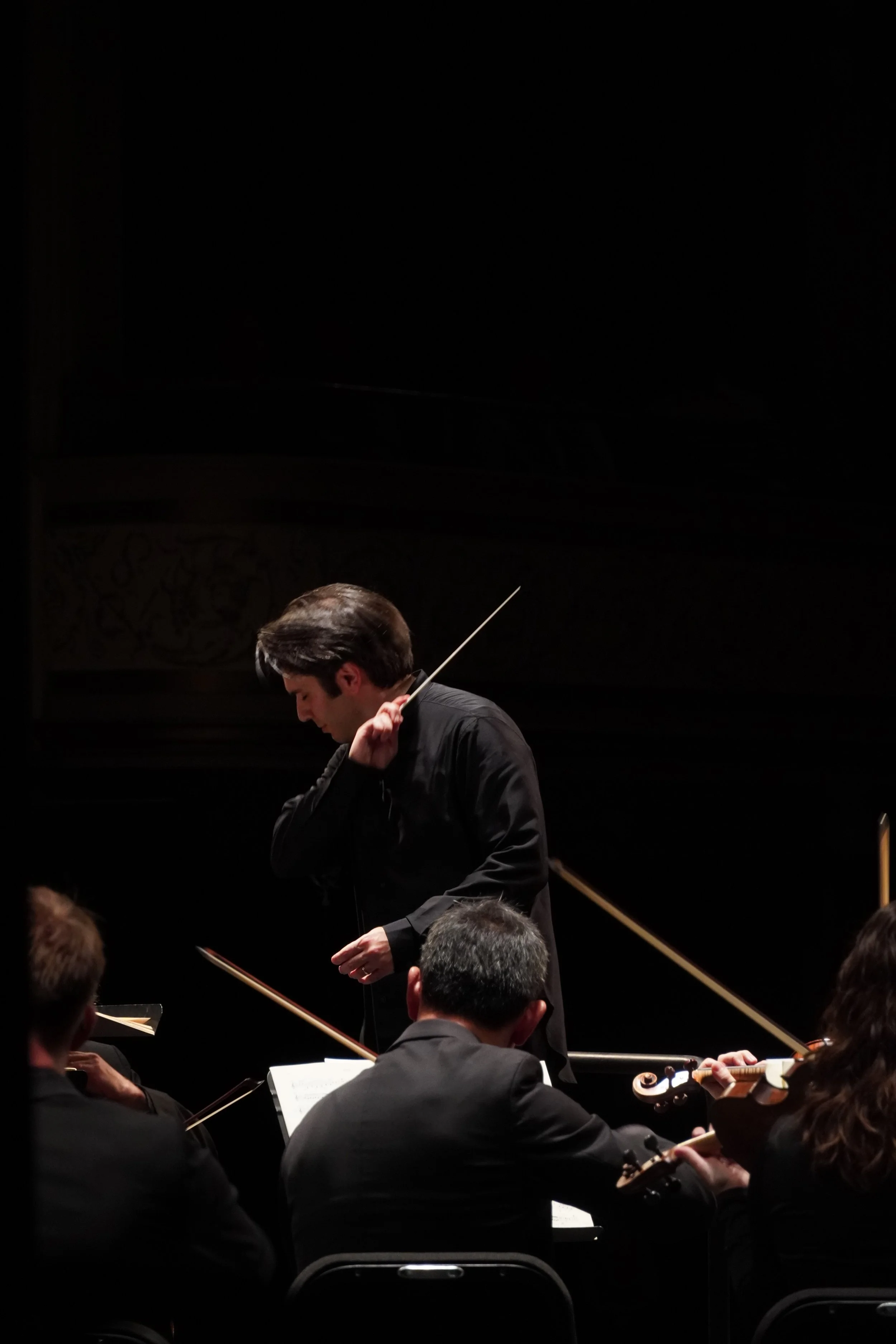 DSC08682 - courtesy KSO.JPG