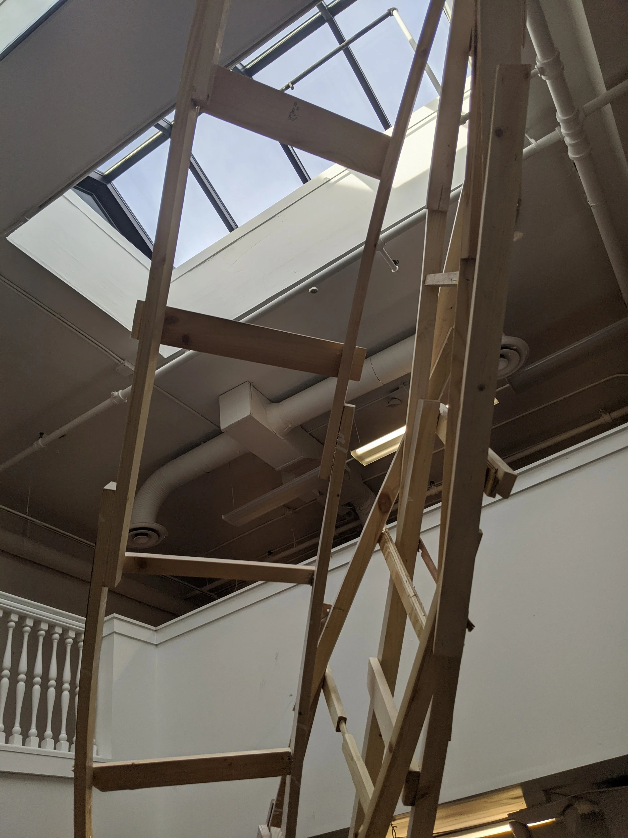 MVIMG_20200122_141615.jpg