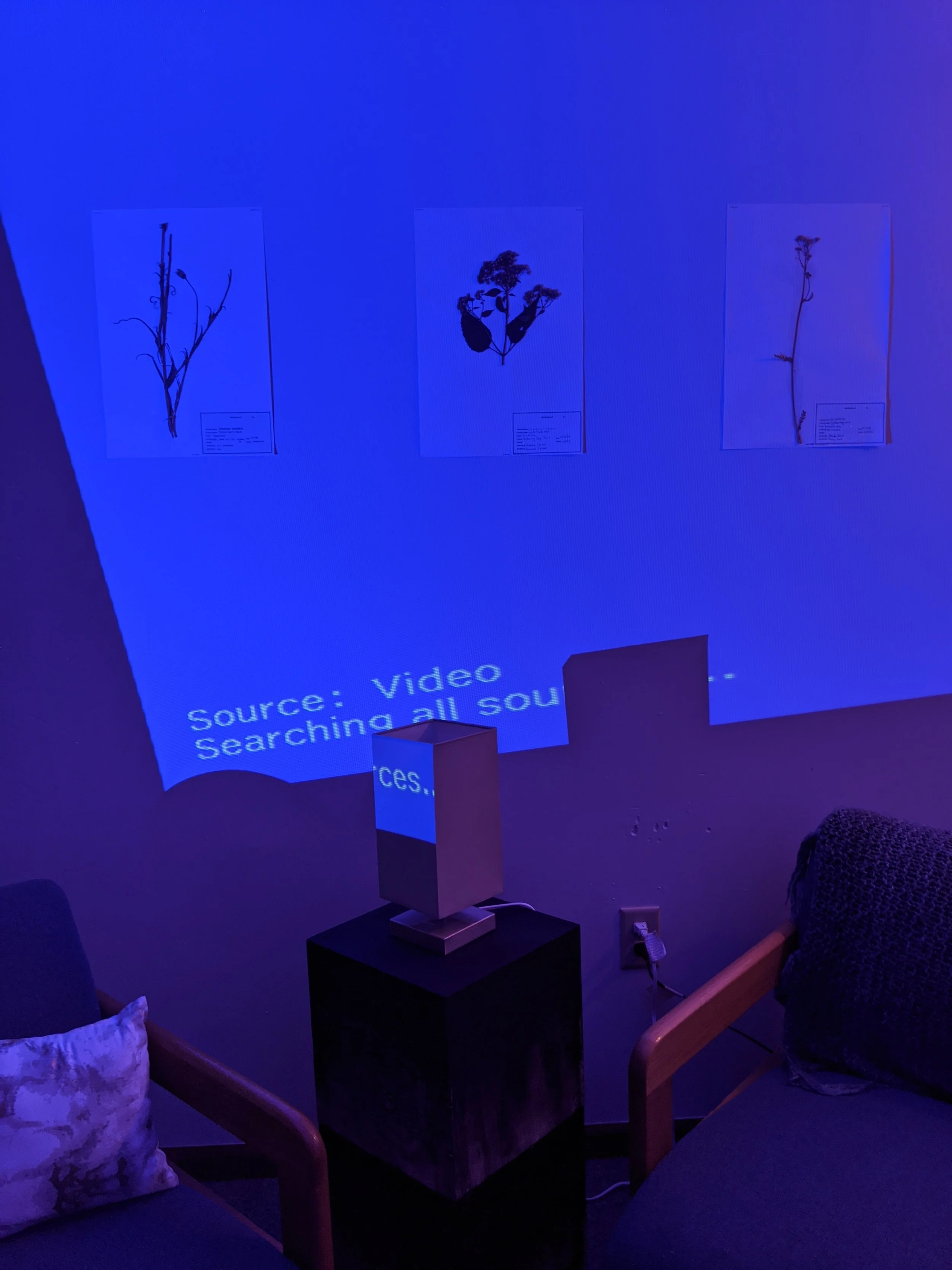 MVIMG_20200401_201337.jpg