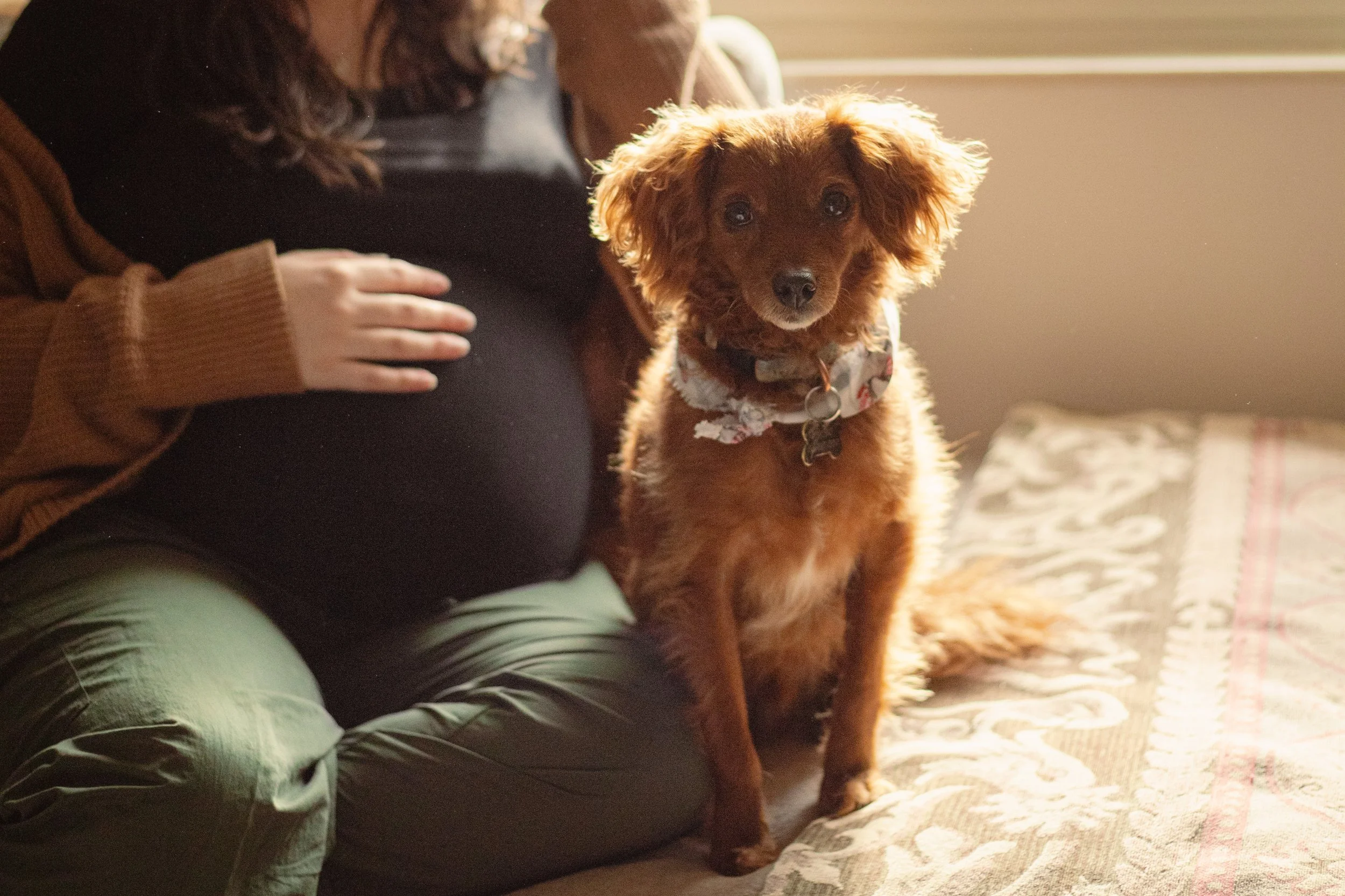 MarissaMaternity-94.jpg
