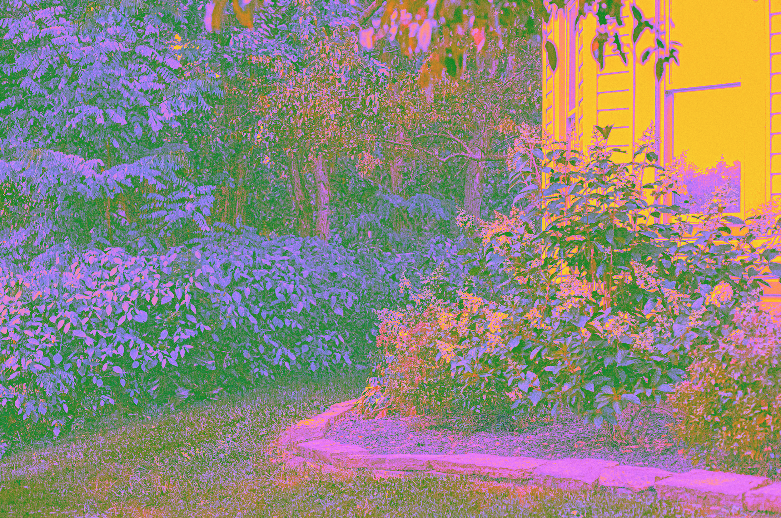 Screen Shot 2026-08-04 at 11.38.14 PM.png