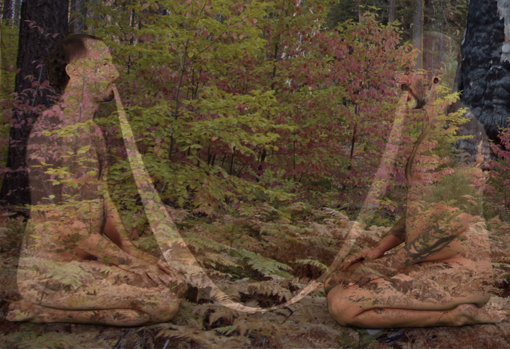 Screen Shot 2019-05-21 at 4.48.45 PM.png