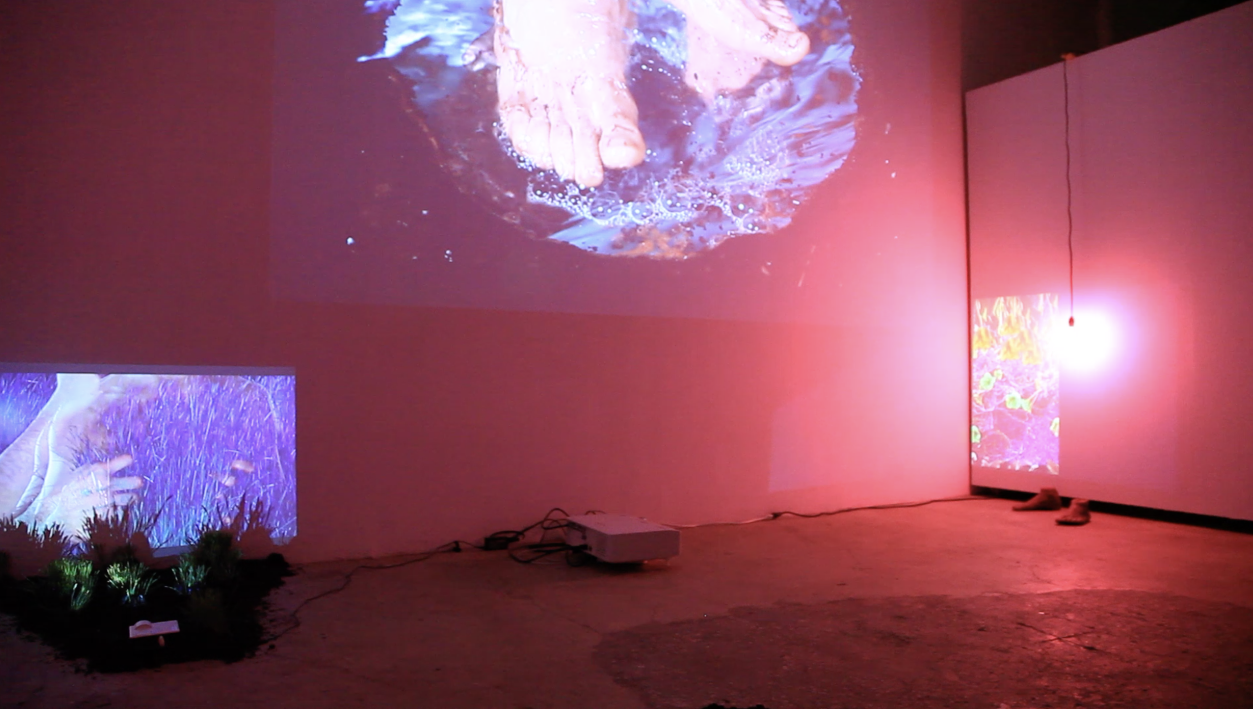 Screen Shot 2019-05-14 at 2.39.33 PM.png